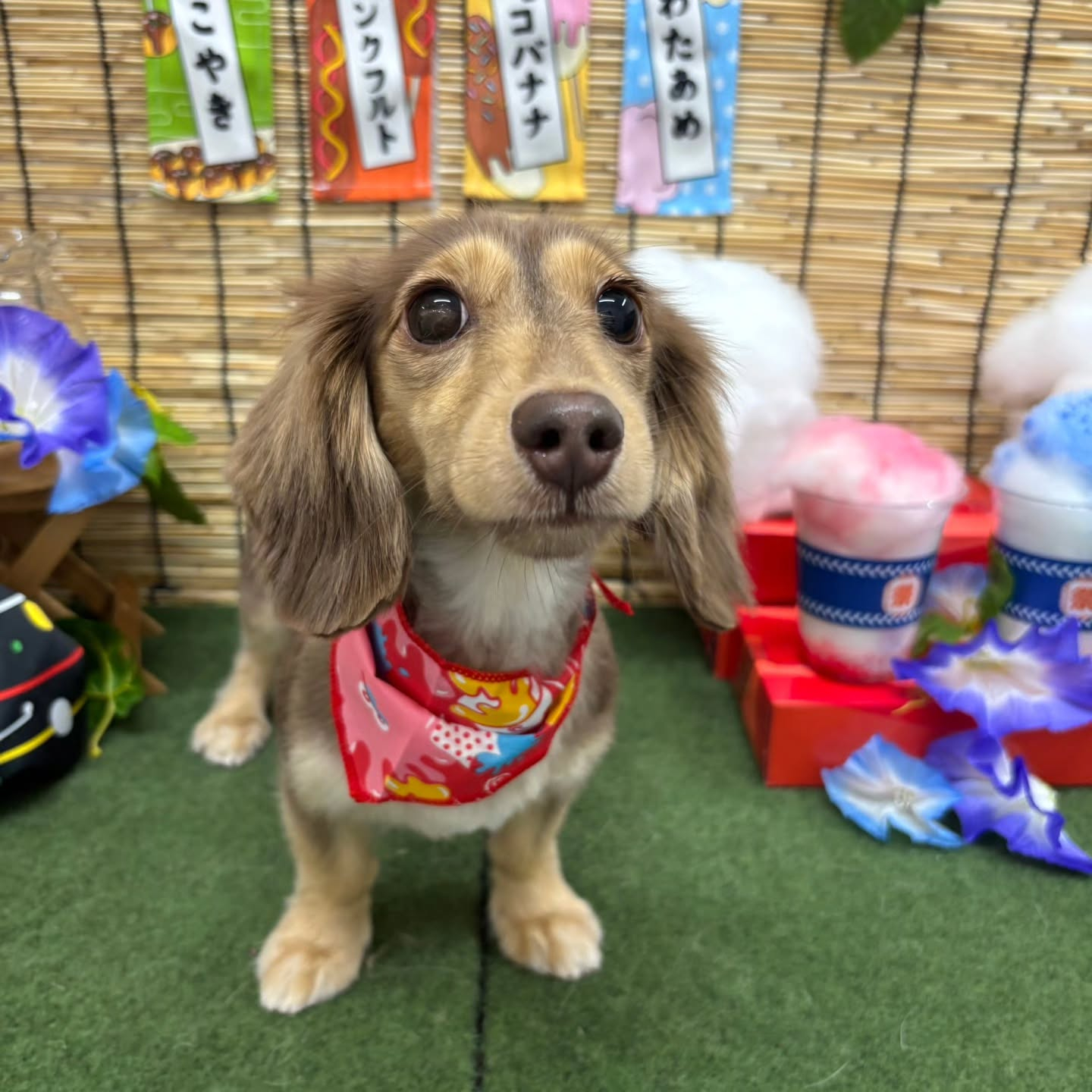 ๐ฎ๐ฎ๐ฎ๐ฎ๐ฎ๐ฎ