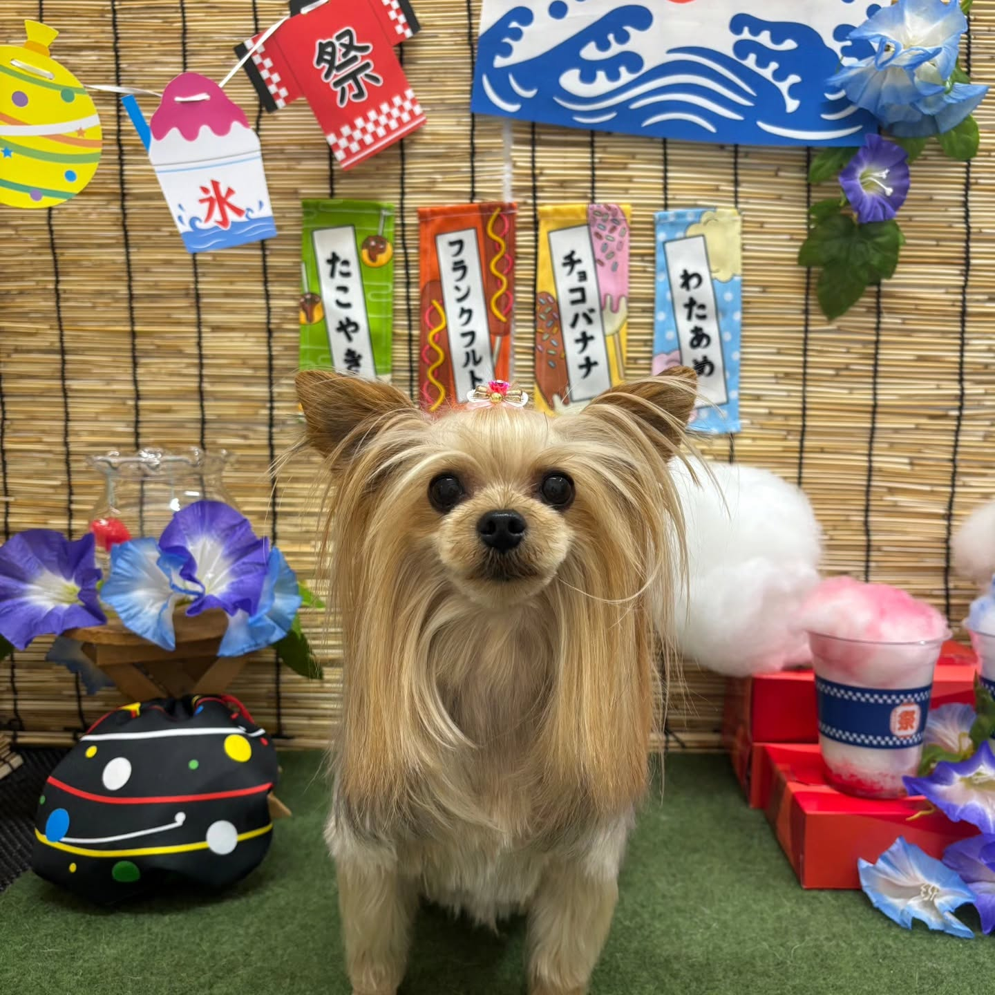 ๐ฎ๐ฎ๐ฎ๐ฎ๐ฎ๐ฎ