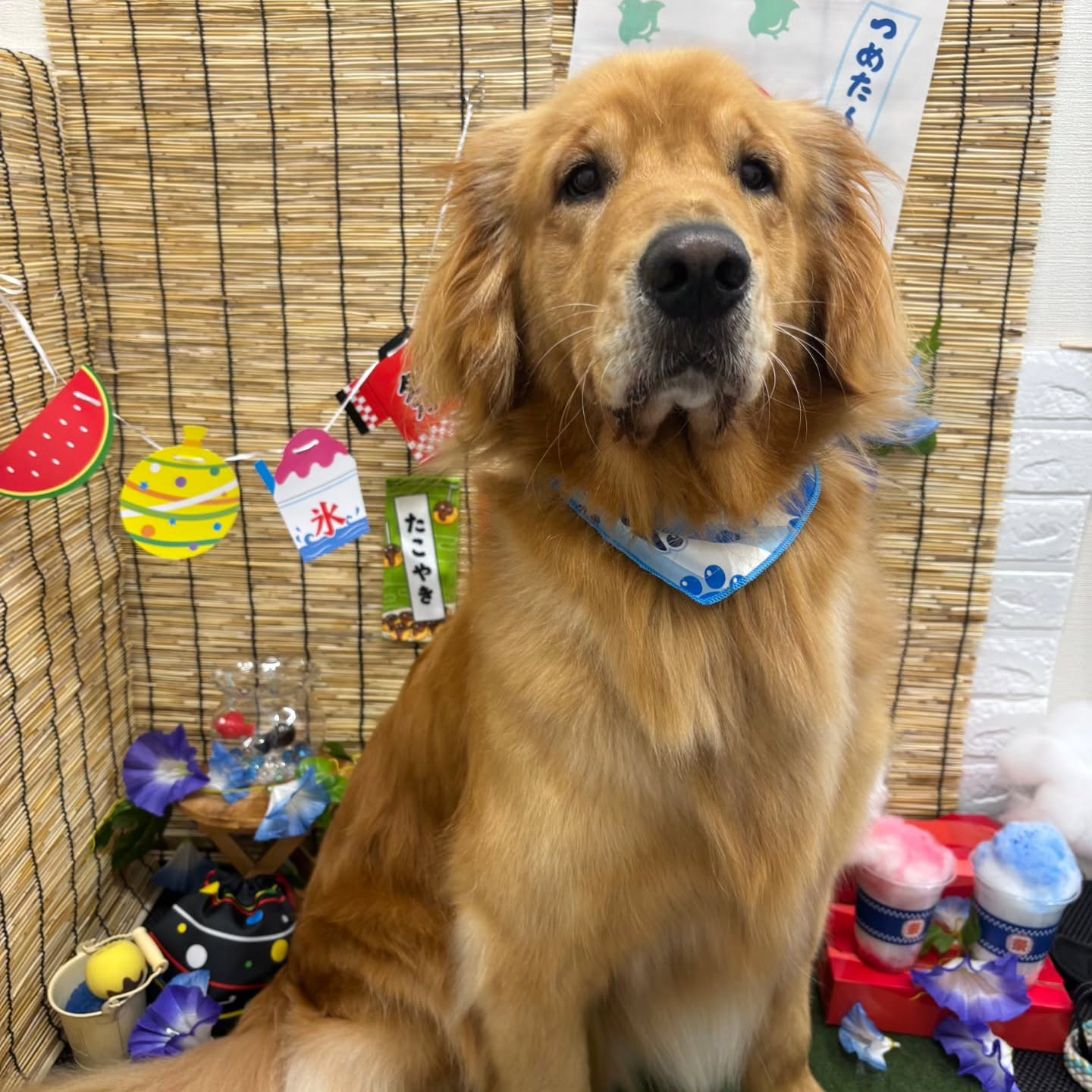 ๐ฎ๐ฎ๐ฎ๐ฎ๐ฎ๐ฎ