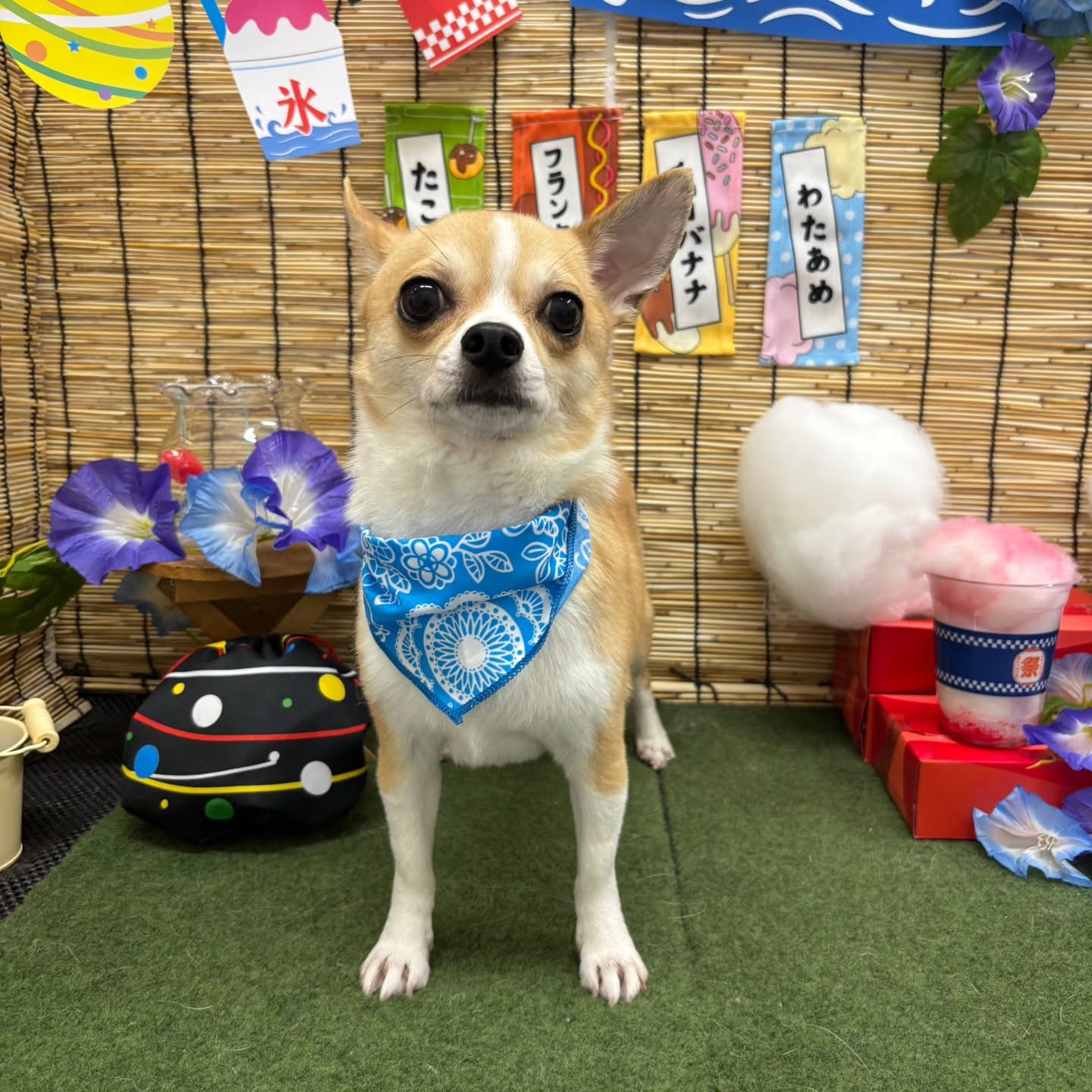 ๐ฎ๐ฎ๐ฎ๐ฎ๐ฎ๐ฎ