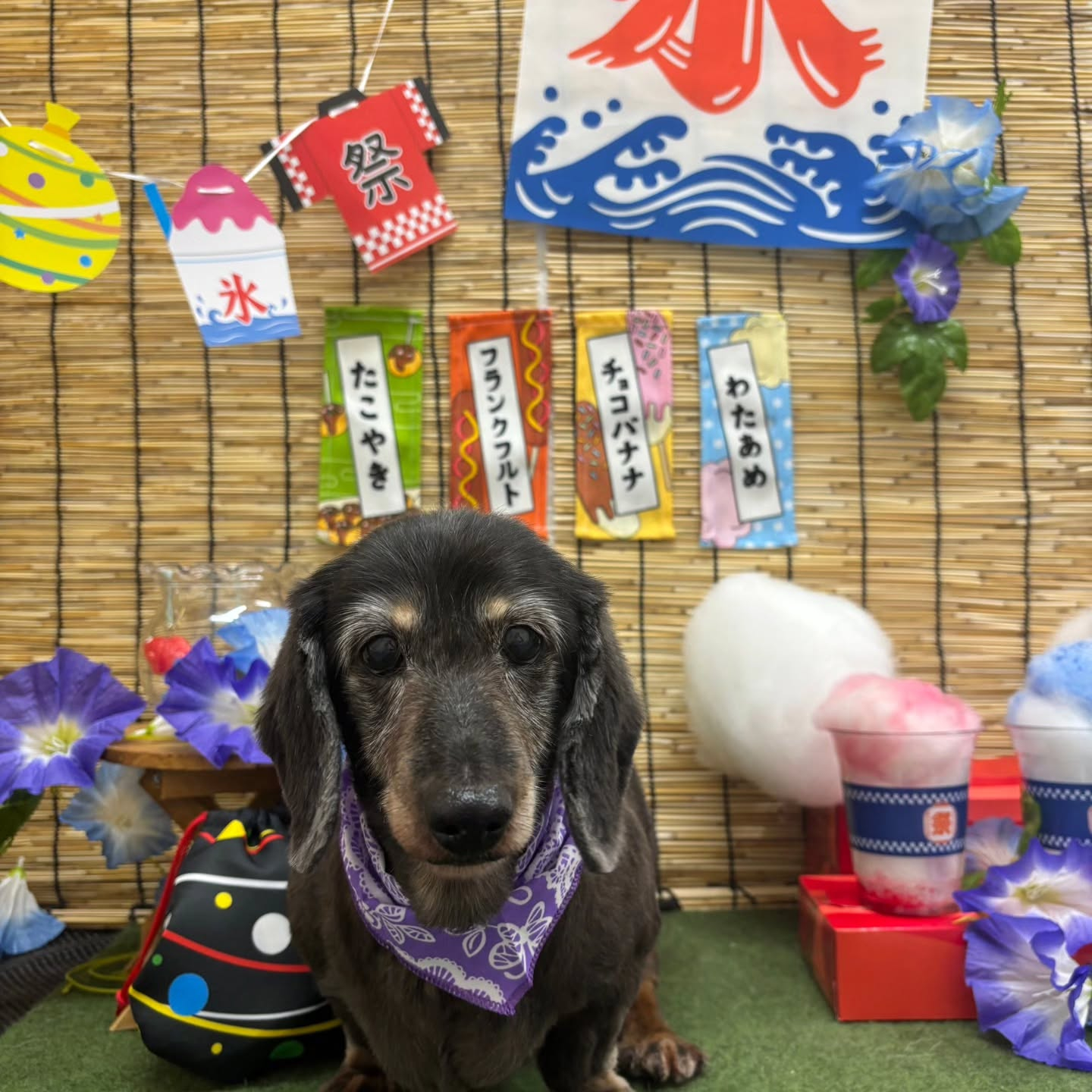 ๐ฎ๐ฎ๐ฎ๐ฎ๐ฎ๐ฎ