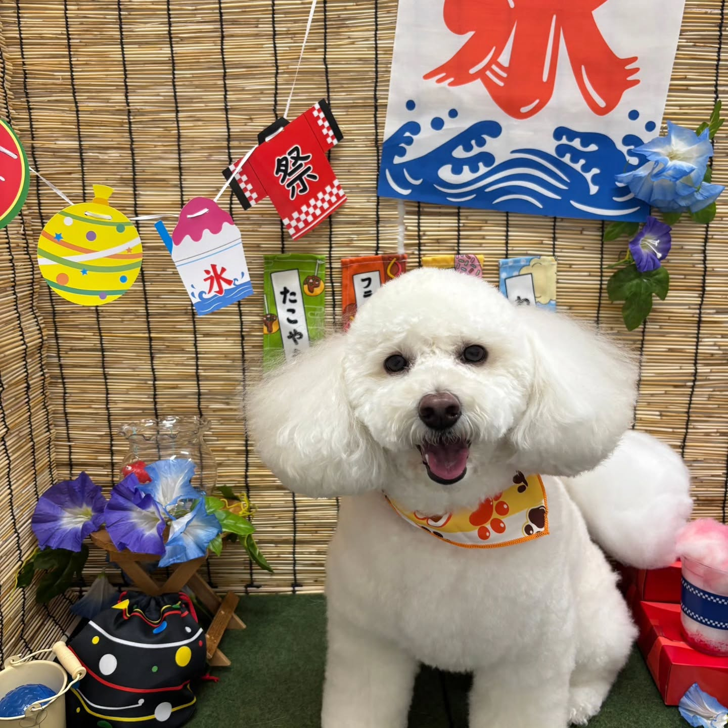 ๐ฎ๐ฎ๐ฎ๐ฎ๐ฎ๐ฎ