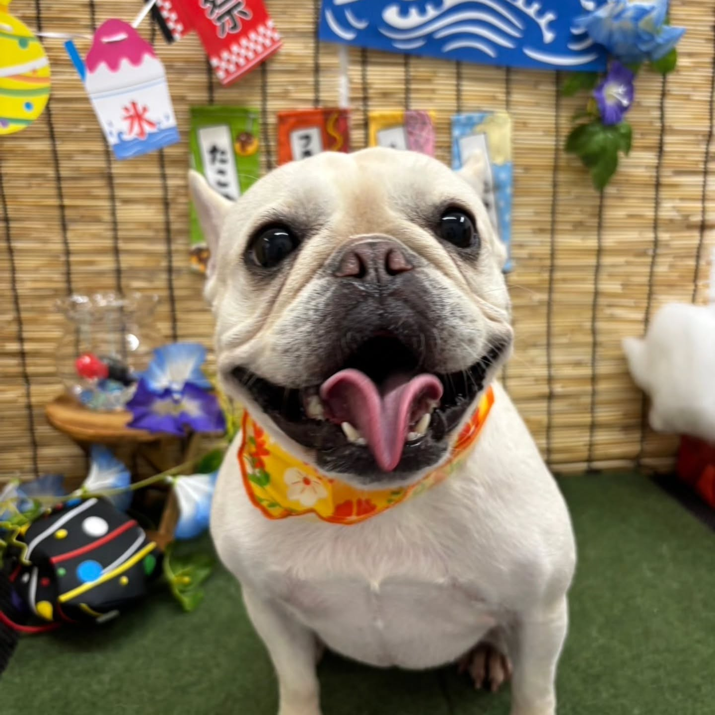 ๐ฎ๐ฎ๐ฎ๐ฎ๐ฎ๐ฎ