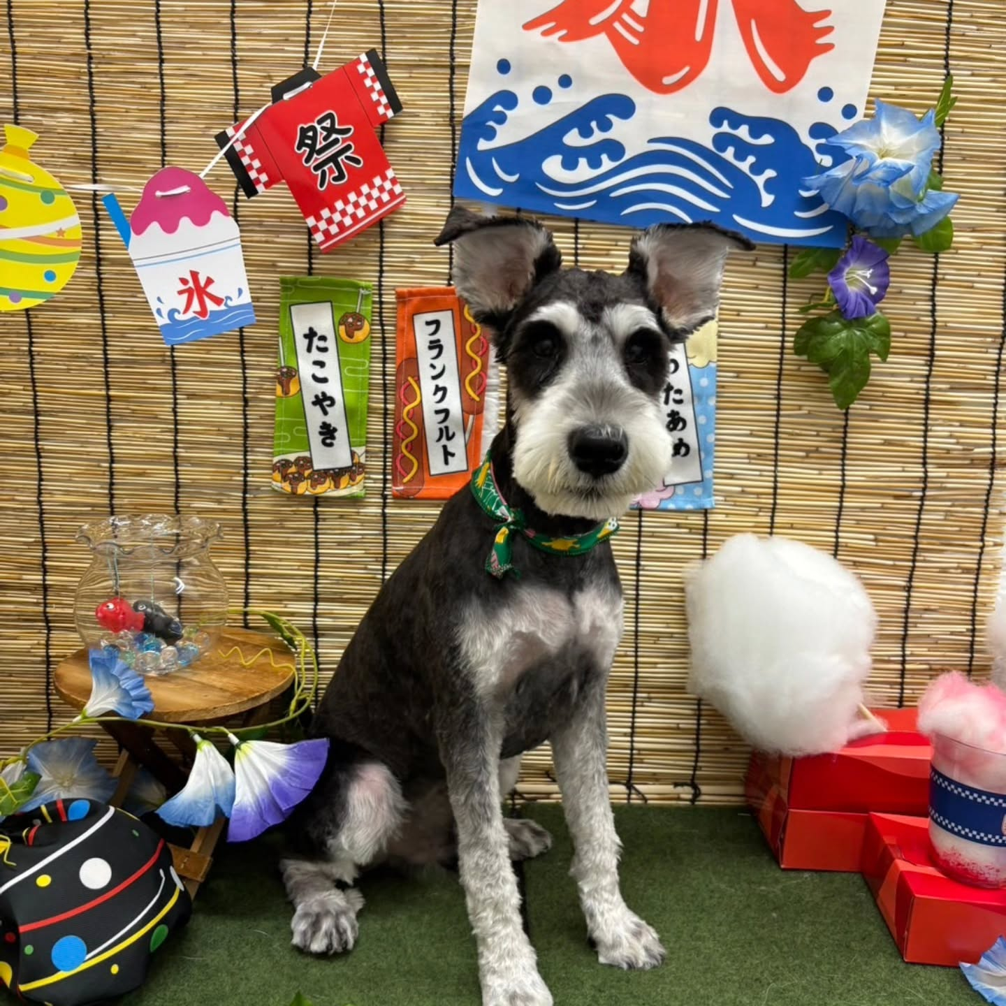 ๐ฎ๐ฎ๐ฎ๐ฎ๐ฎ๐ฎ