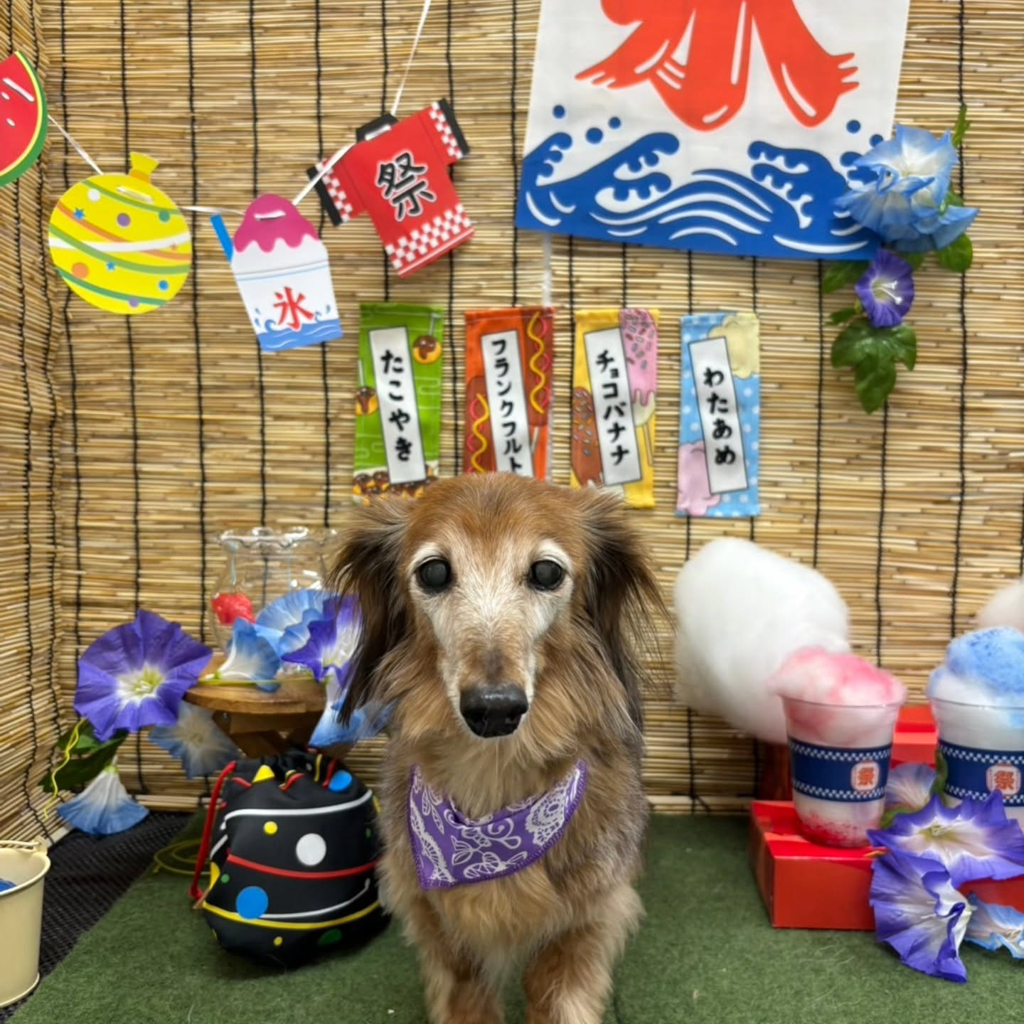 ๐ฎ๐ฎ๐ฎ๐ฎ๐ฎ๐ฎ