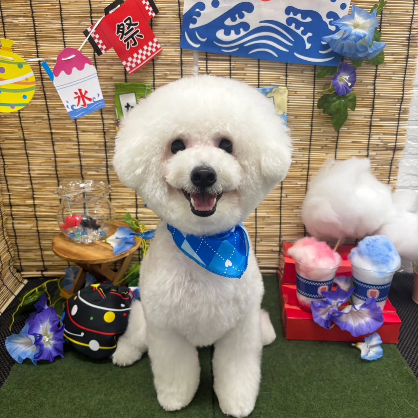 🍧🍧🍧🍧🍧🍧🍧🍧🍧