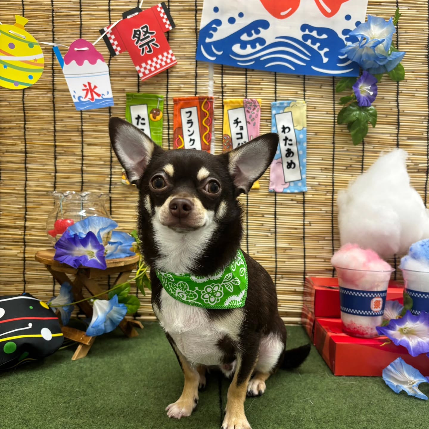 🍧🍧🍧🍧🍧🍧🍧🍧🍧