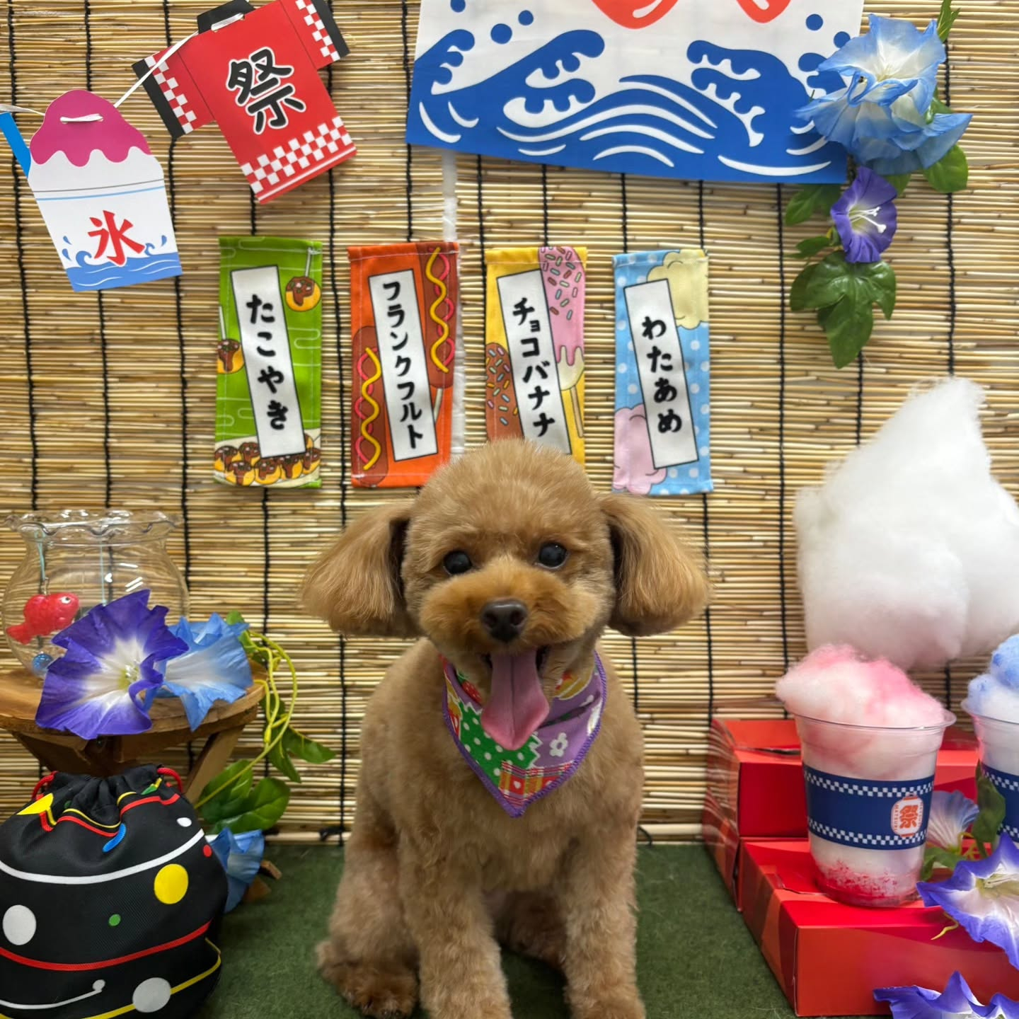 🍧🍧🍧🍧🍧🍧🍧🍧🍧