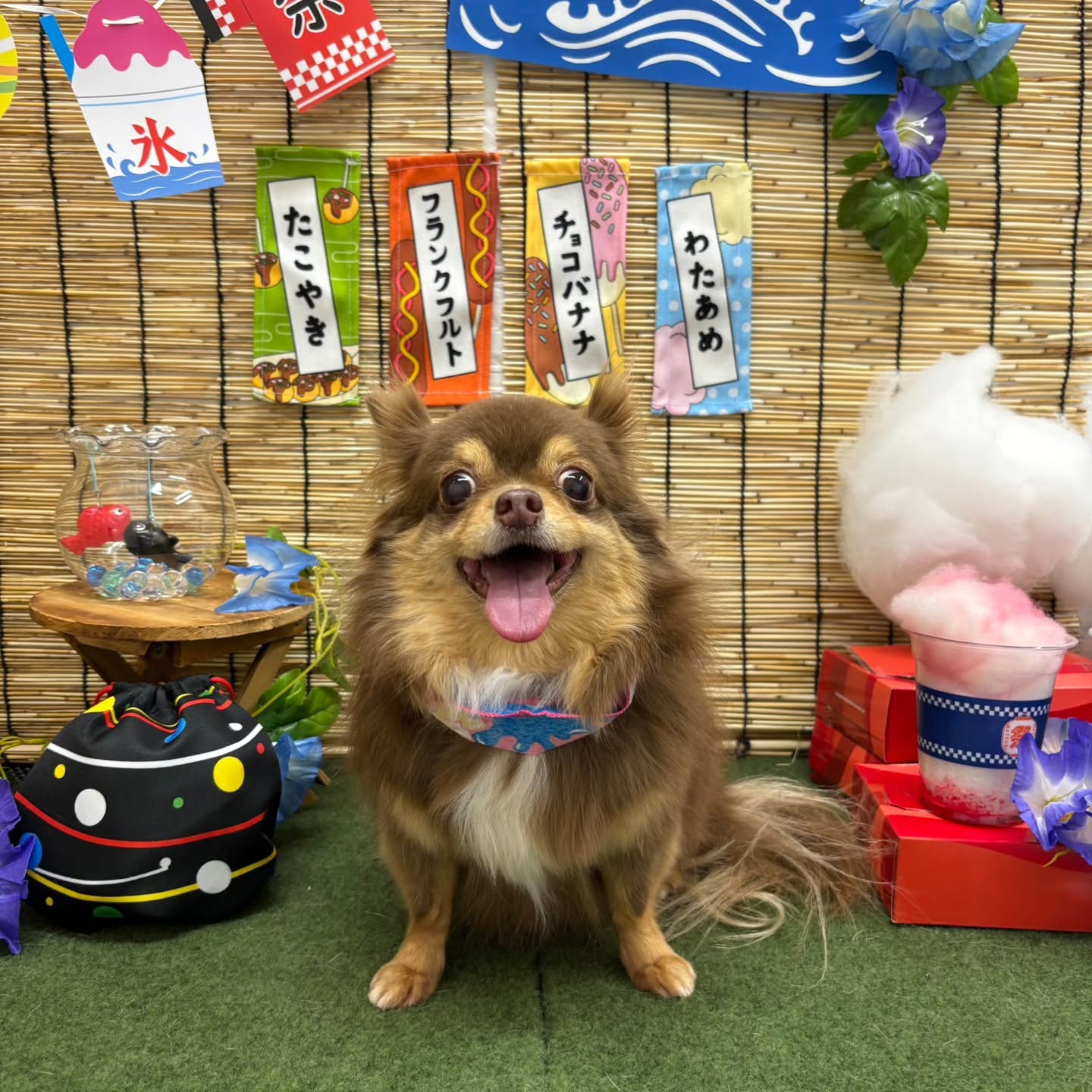 🍧🍧🍧🍧🍧🍧🍧🍧🍧