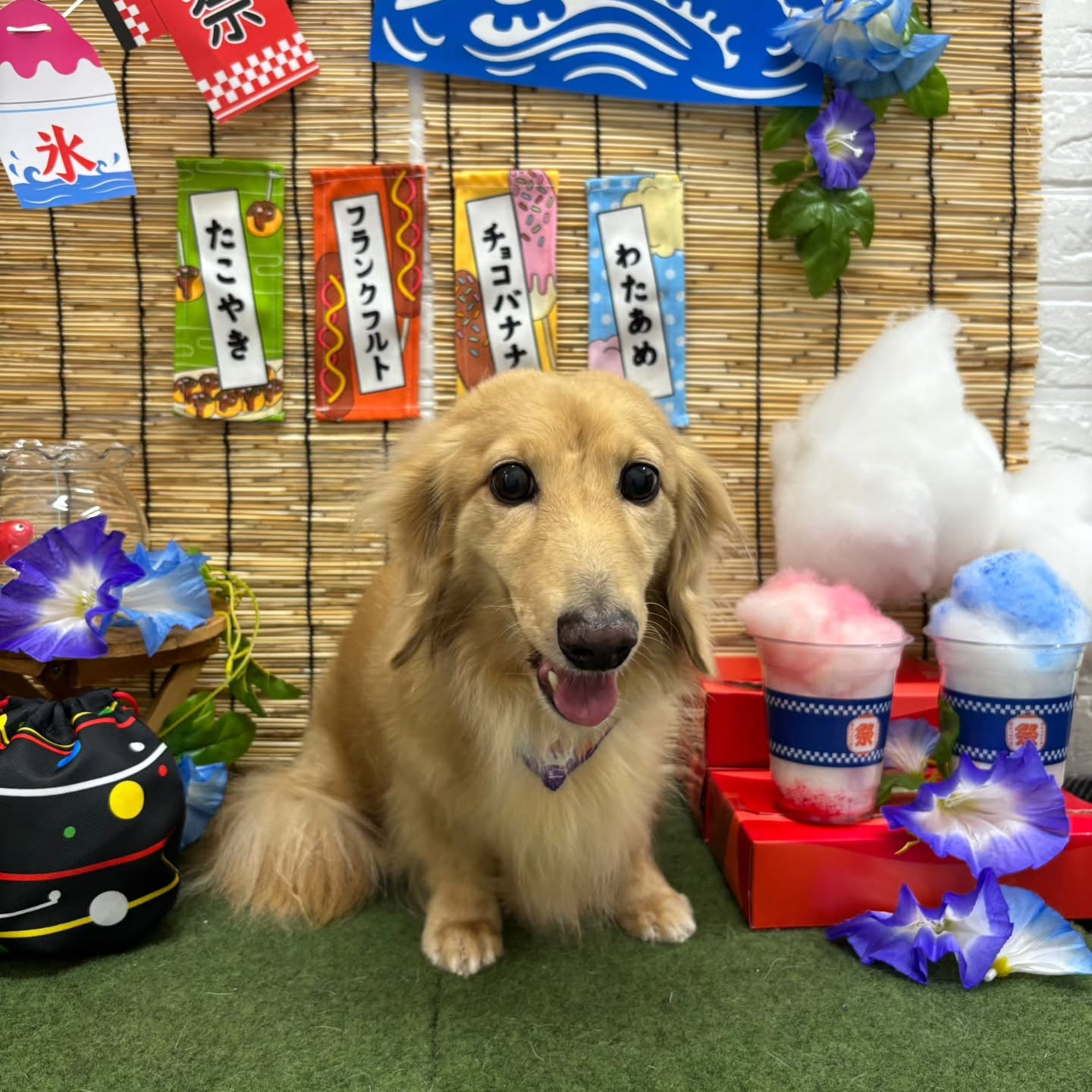 🍧🍧🍧🍧🍧🍧🍧🍧🍧