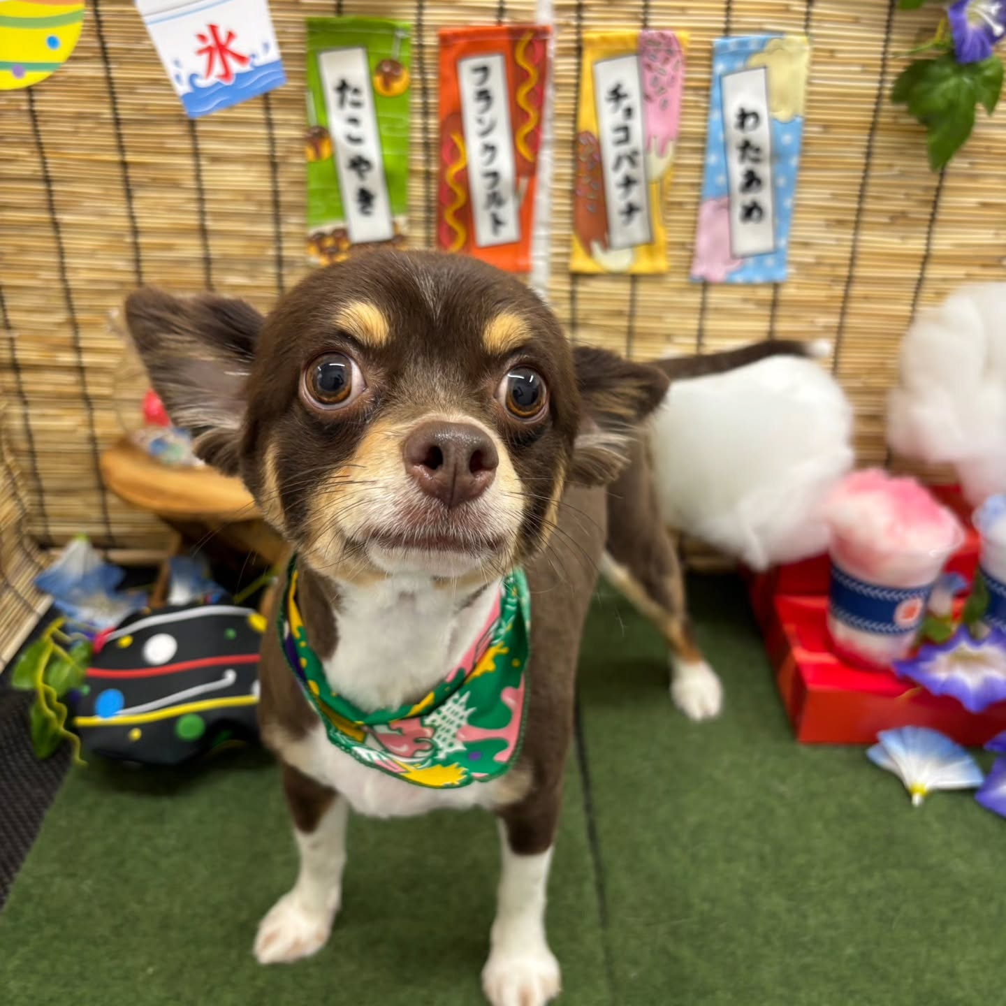 🍧🍧🍧🍧🍧🍧🍧🍧🍧