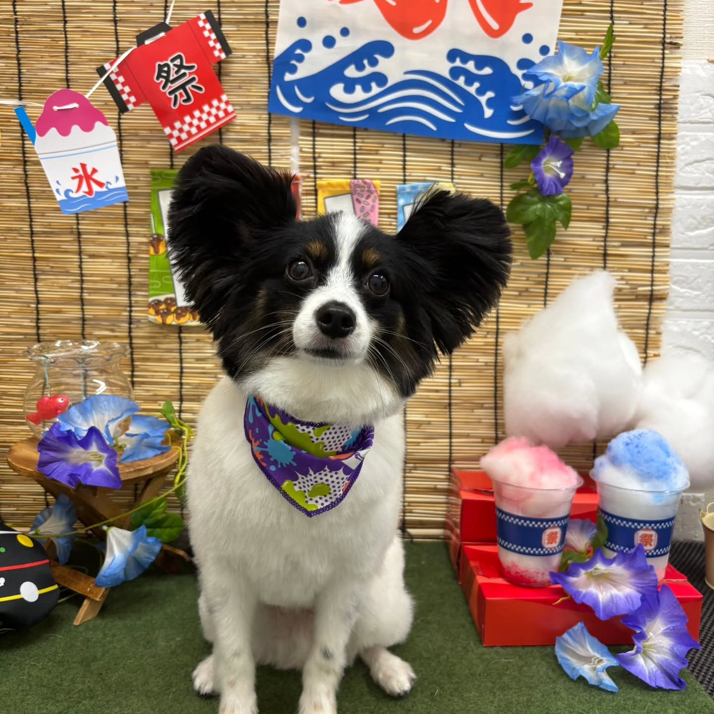 🍧🍧🍧🍧🍧🍧🍧🍧🍧