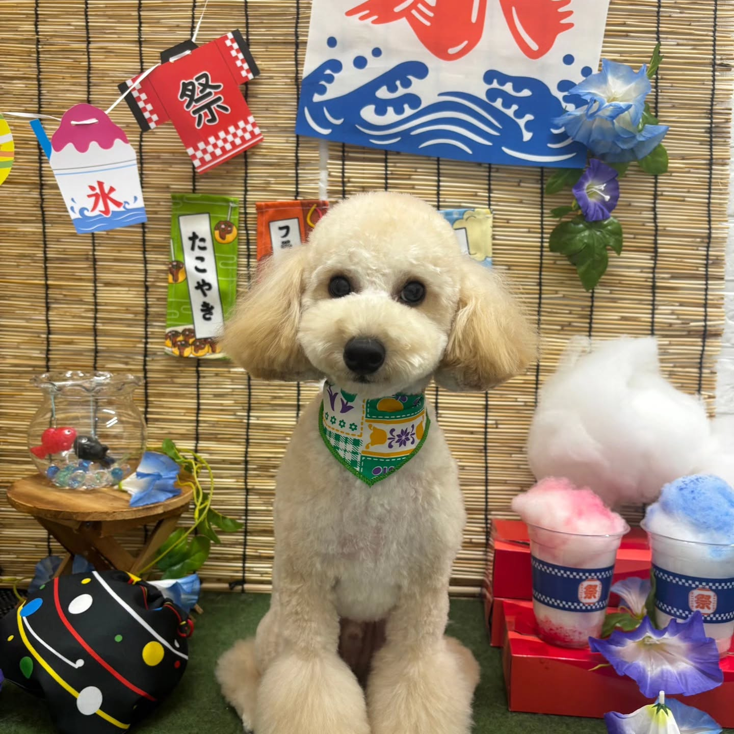 🍧🍧🍧🍧🍧🍧🍧🍧🍧