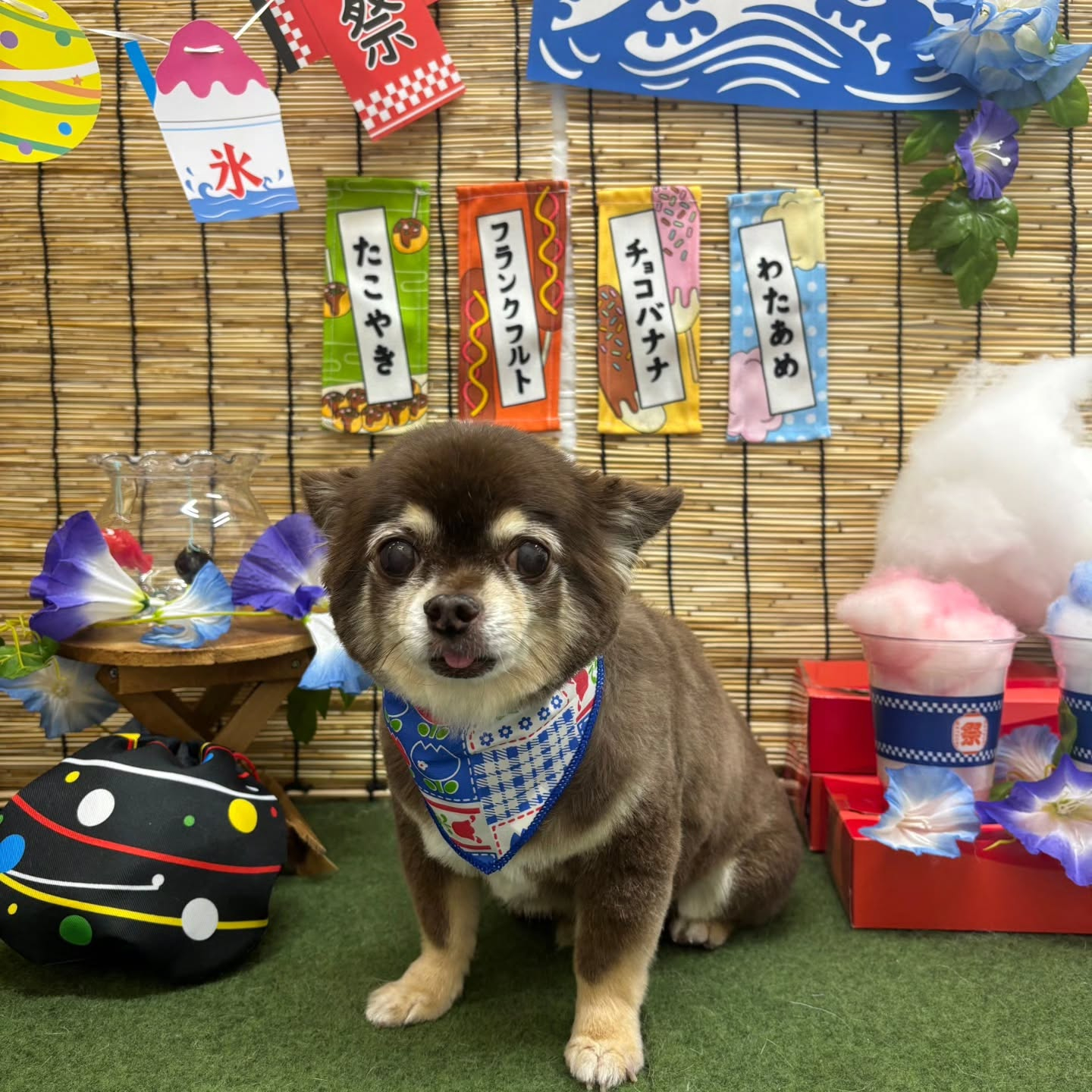 🍧🍧🍧🍧🍧🍧🍧🍧🍧