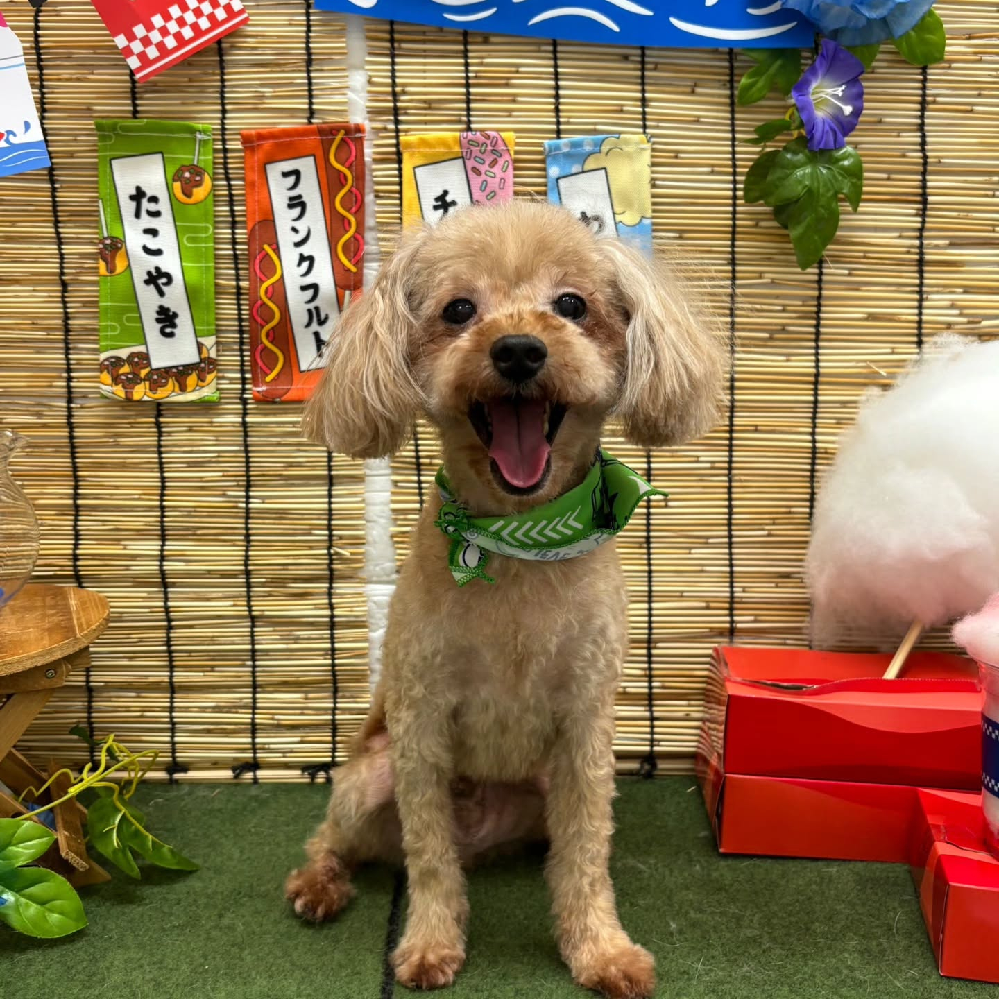 🍧🍧🍧🍧🍧🍧🍧🍧🍧