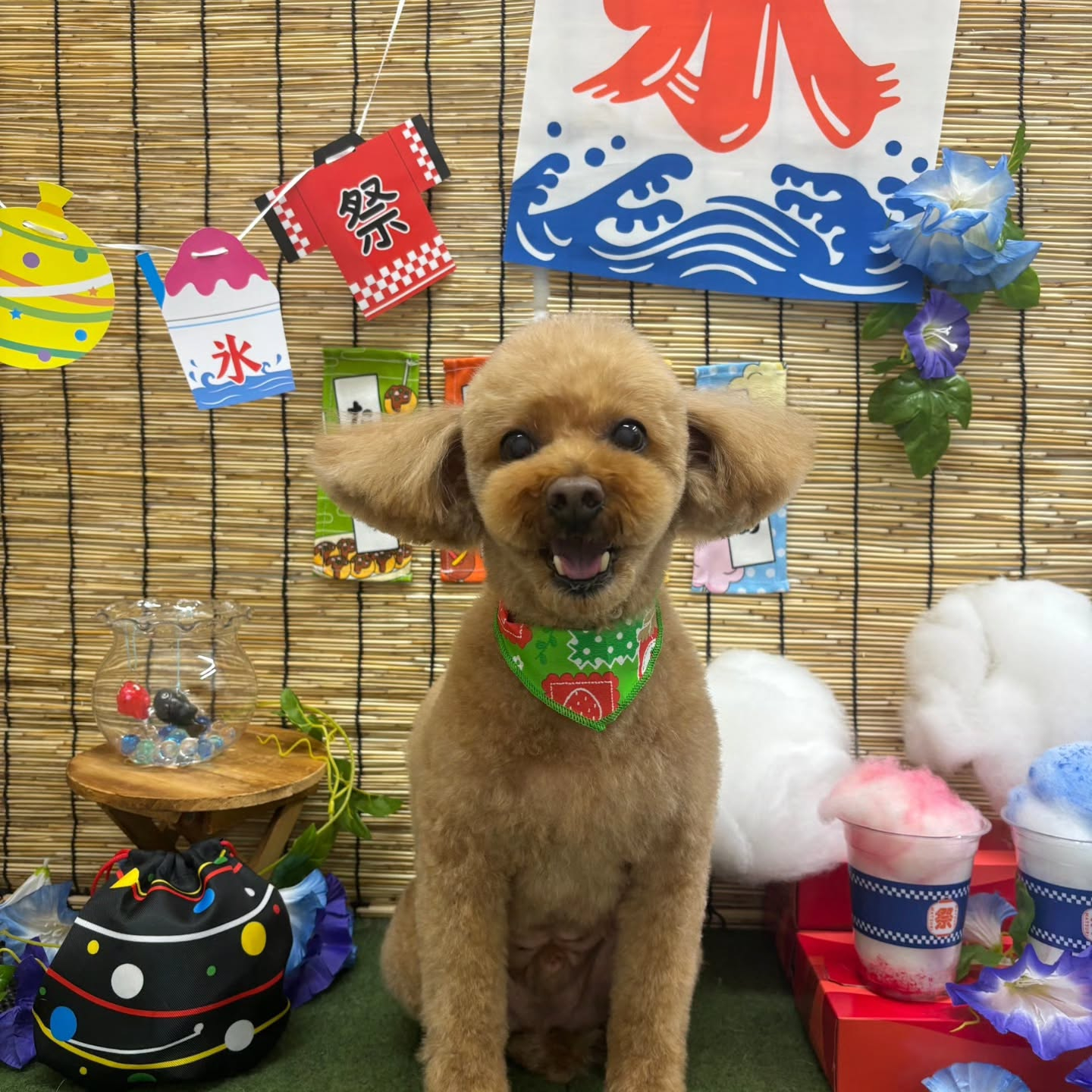 🍧🍧🍧🍧🍧🍧🍧🍧🍧