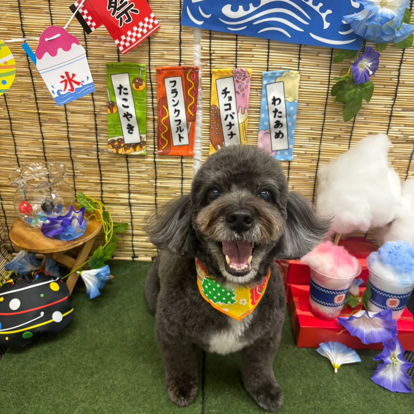 🍧🍧🍧🍧🍧🍧🍧🍧🍧