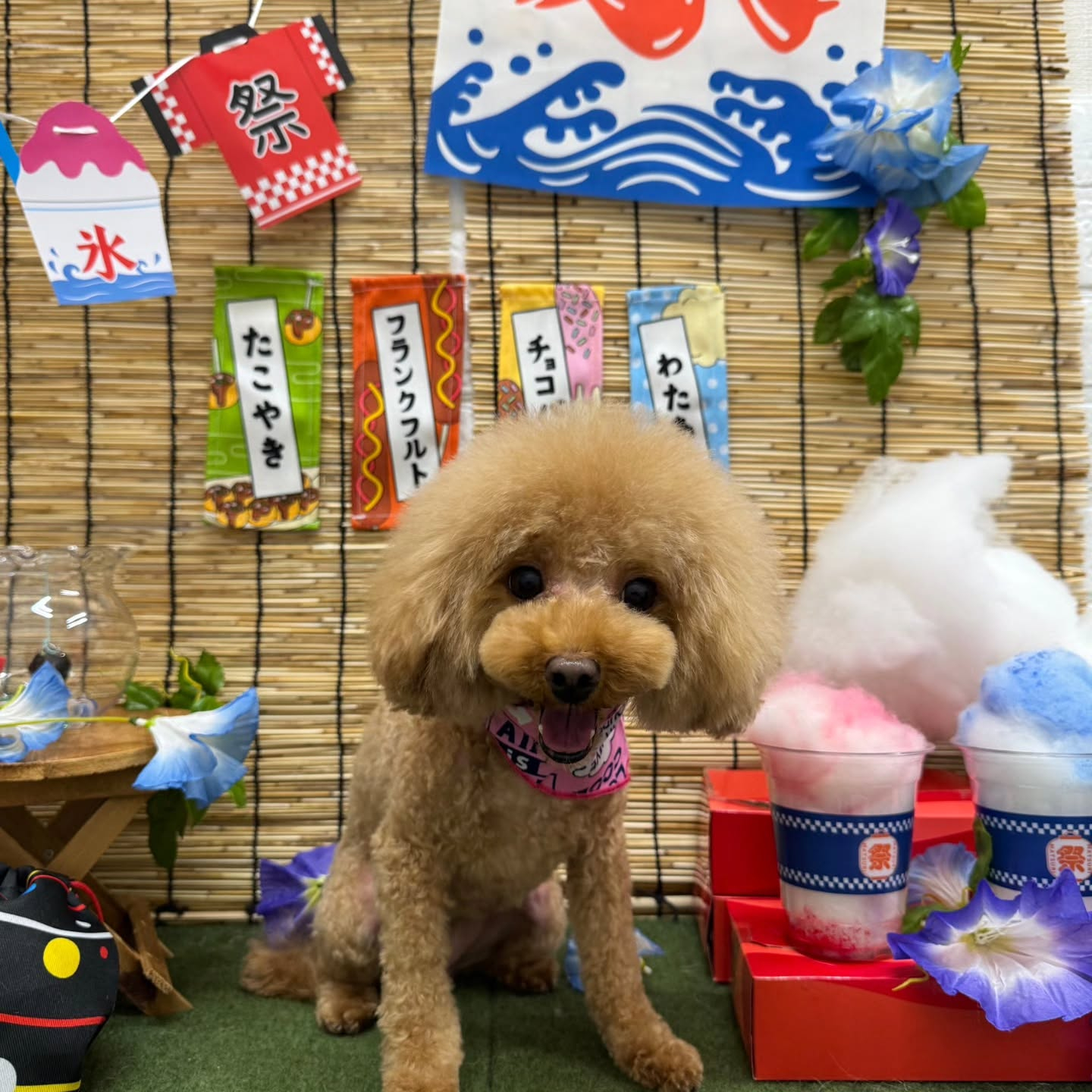 🍧🍧🍧🍧🍧🍧🍧🍧