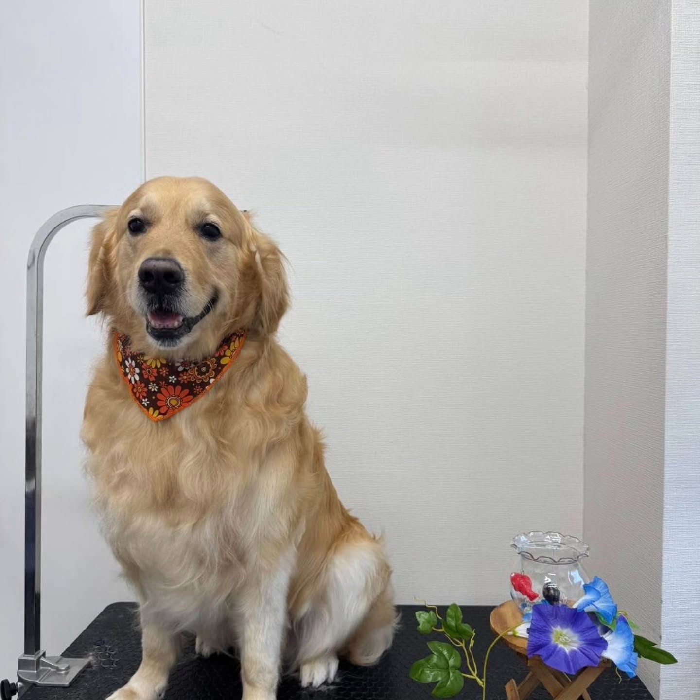 🍧🍧🍧🍧🍧🍧🍧🍧🍧🍧🍧🍧