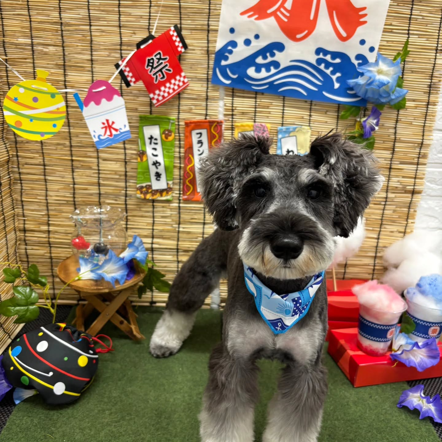 🍧🍧🍧🍧🍧🍧🍧🍧🍧🍧🍧🍧