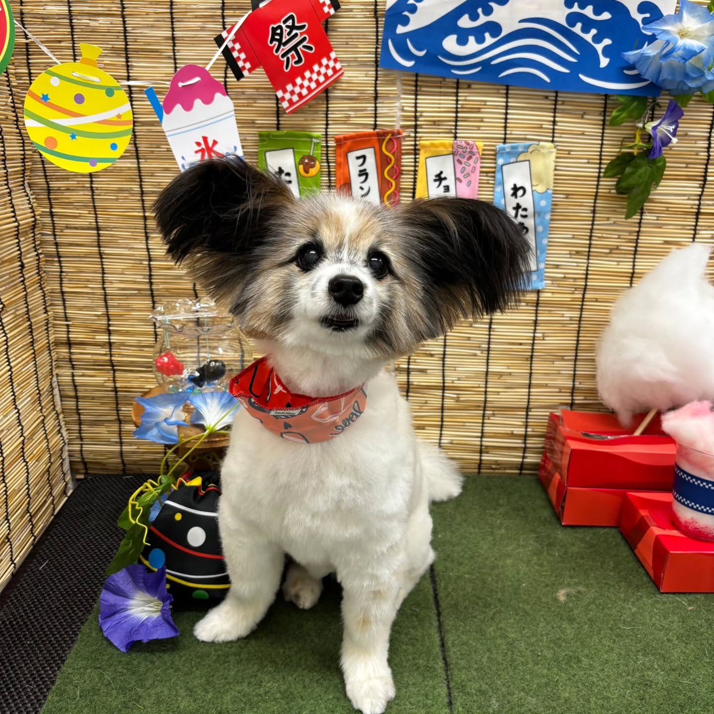 🍧🍧🍧🍧🍧🍧🍧🍧🍧🍧🍧🍧