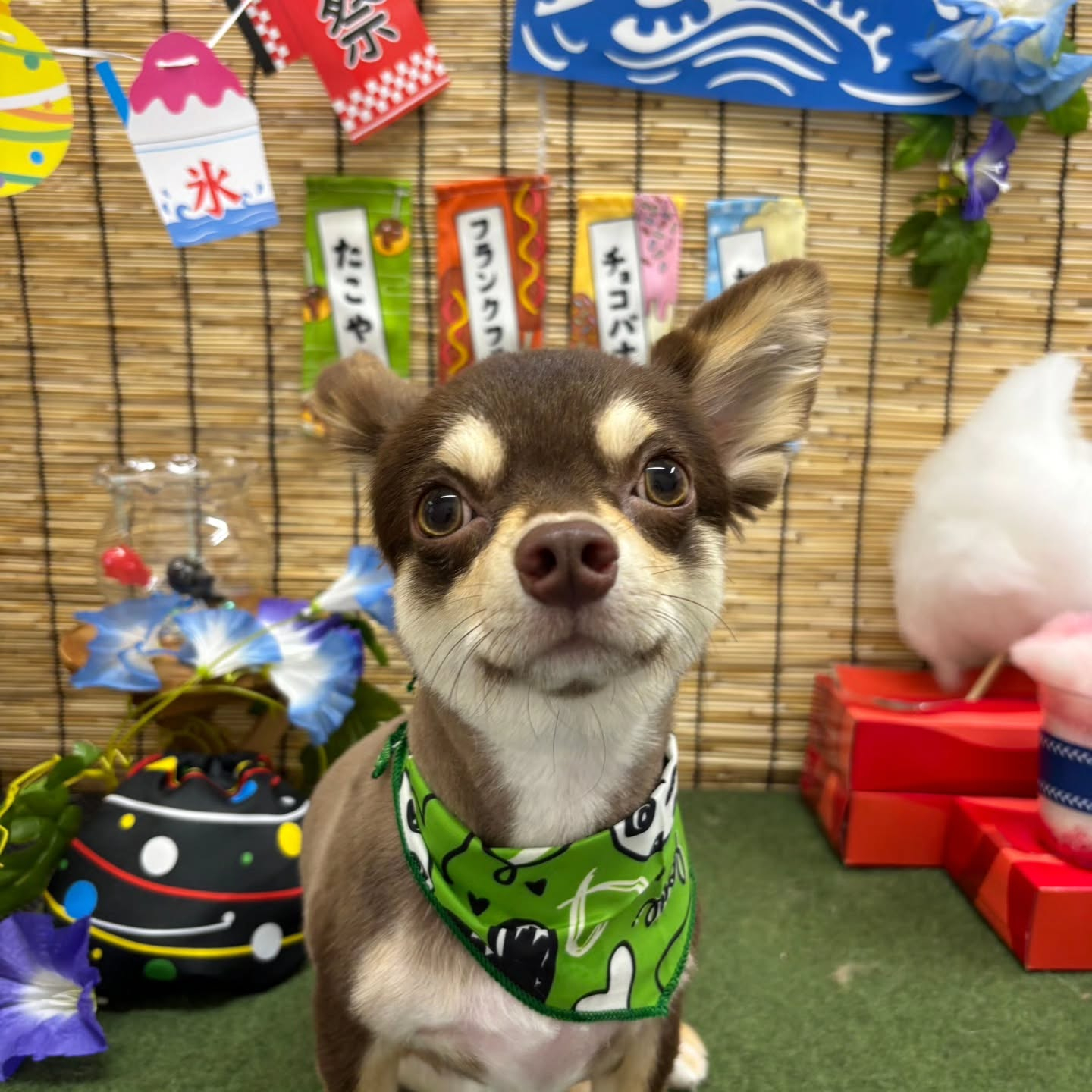 🍧🍧🍧🍧🍧🍧🍧🍧🍧🍧🍧🍧