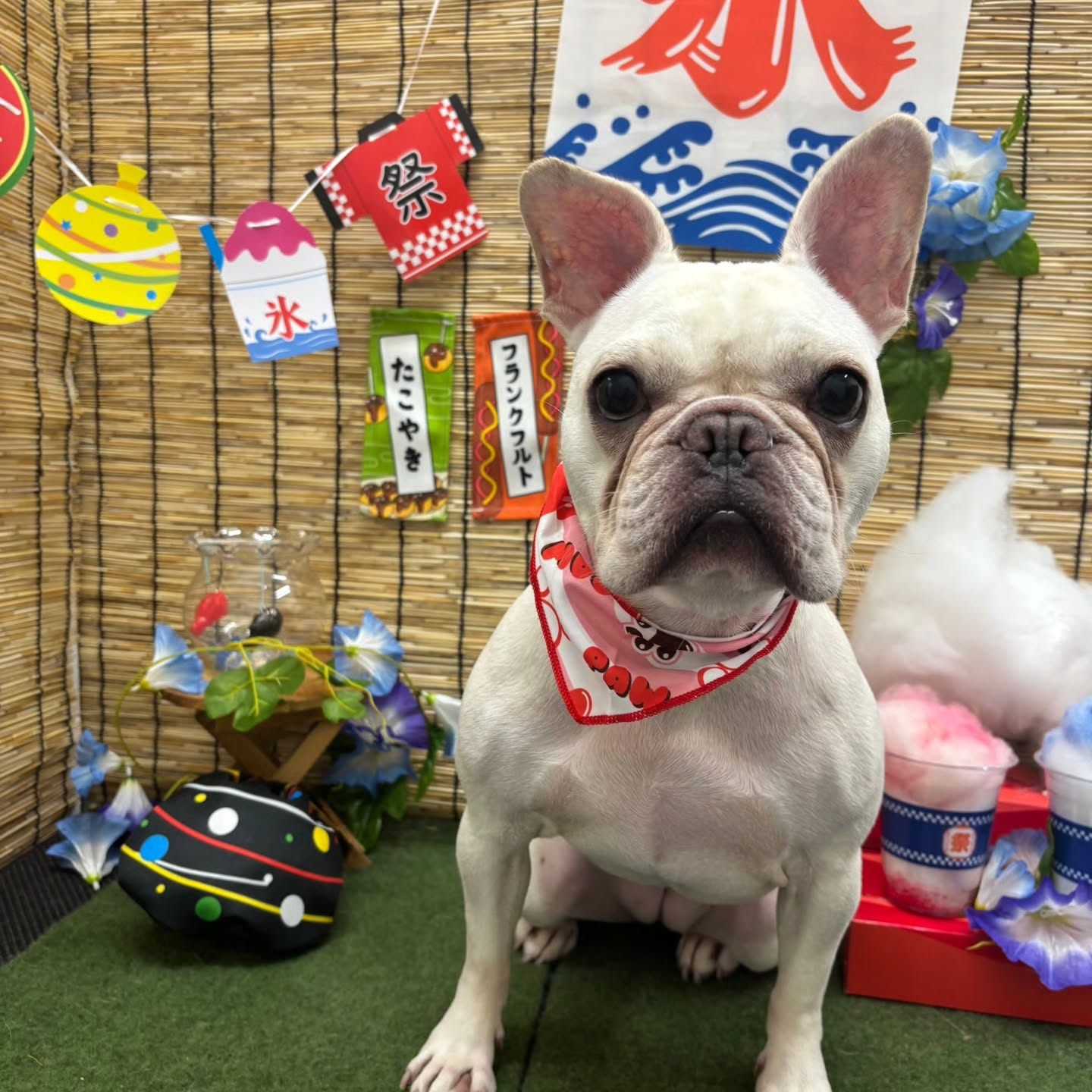 🍧🍧🍧🍧🍧🍧🍧