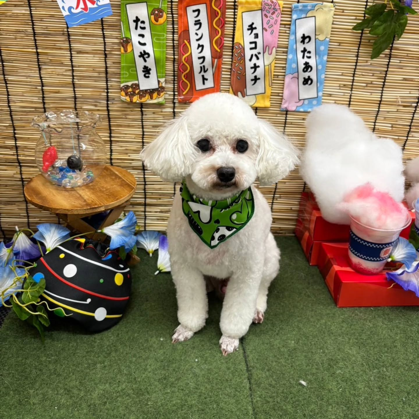 🍧🍧🍧🍧🍧🍧🍧