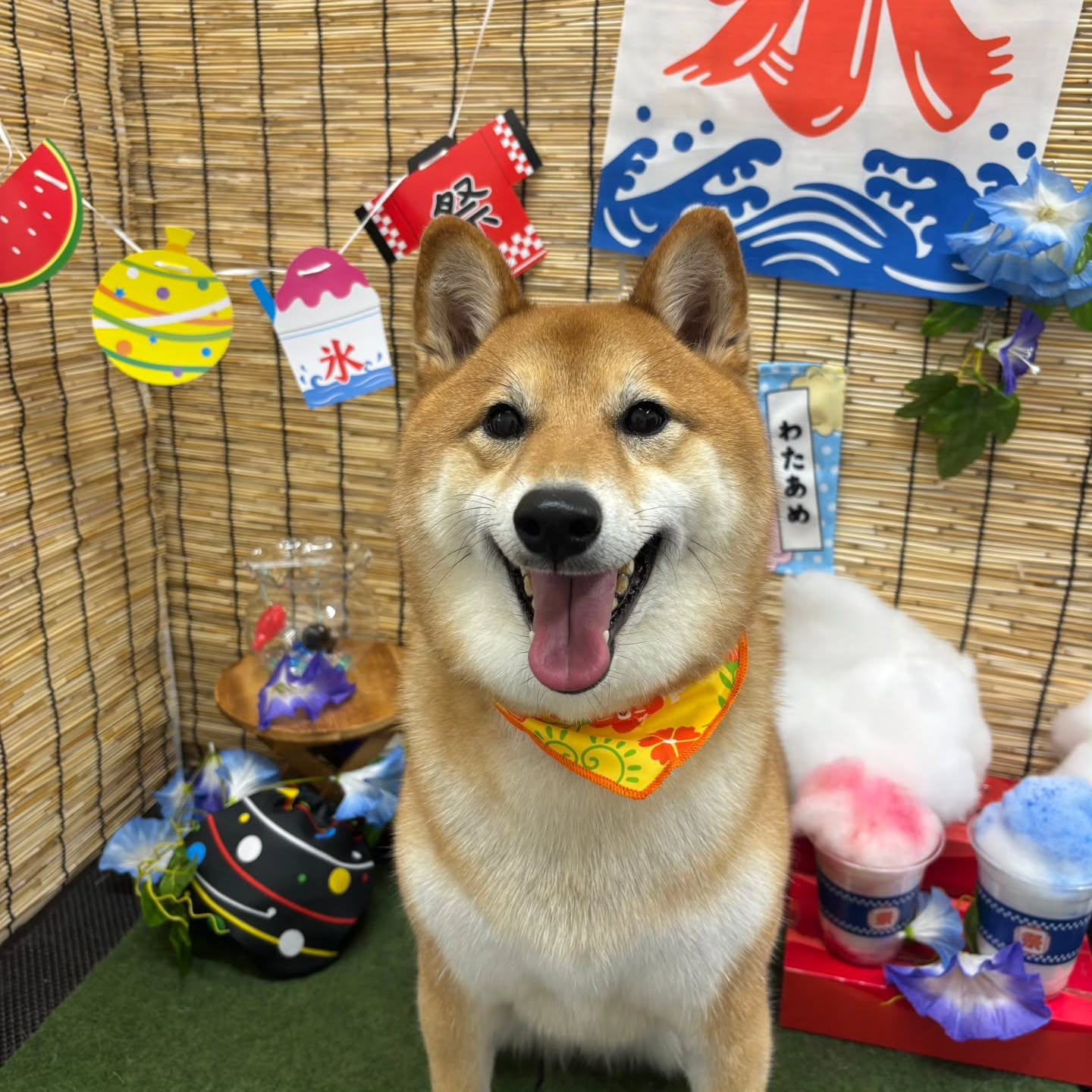 🍧🍧🍧🍧🍧🍧🍧