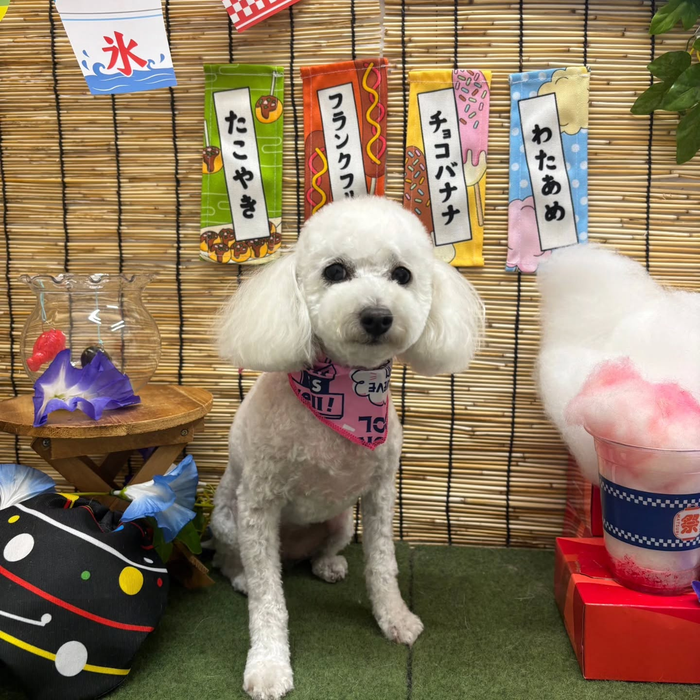 🍧🍧🍧🍧🍧🍧🍧