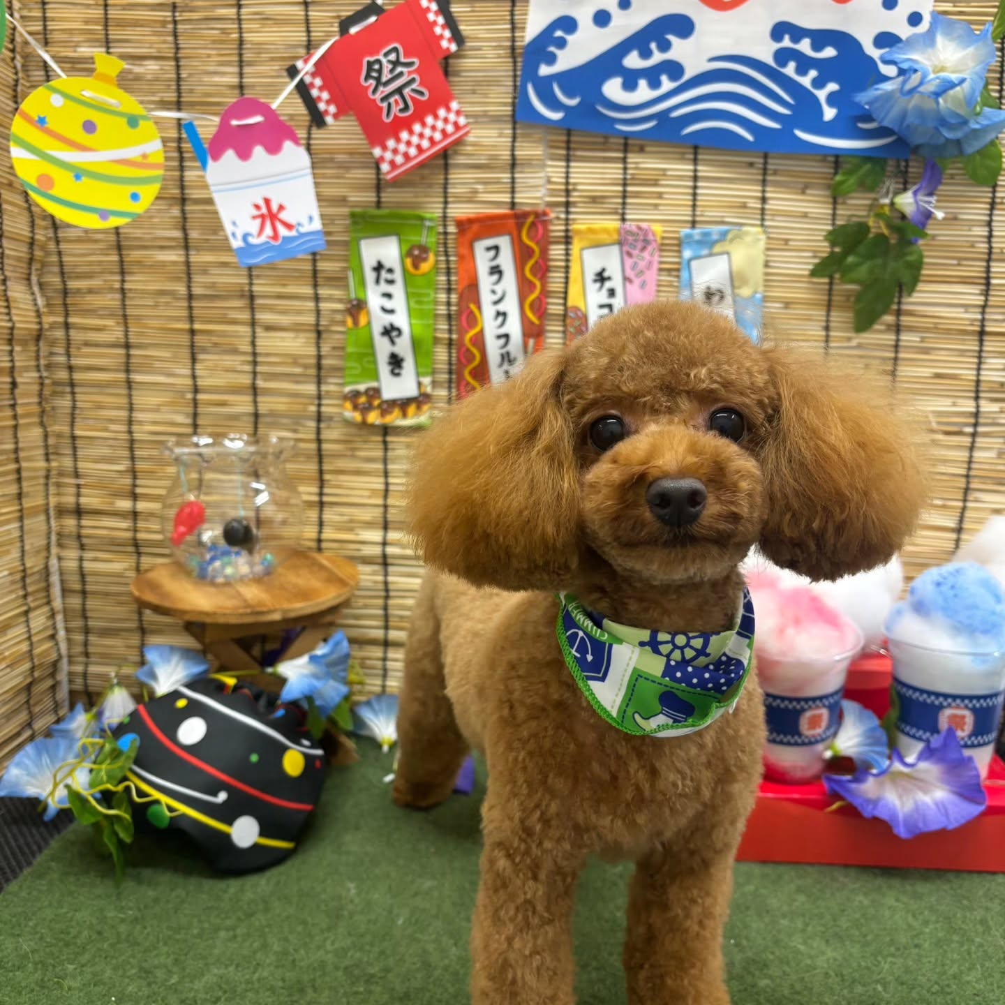 🍧🍧🍧🍧🍧🍧🍧