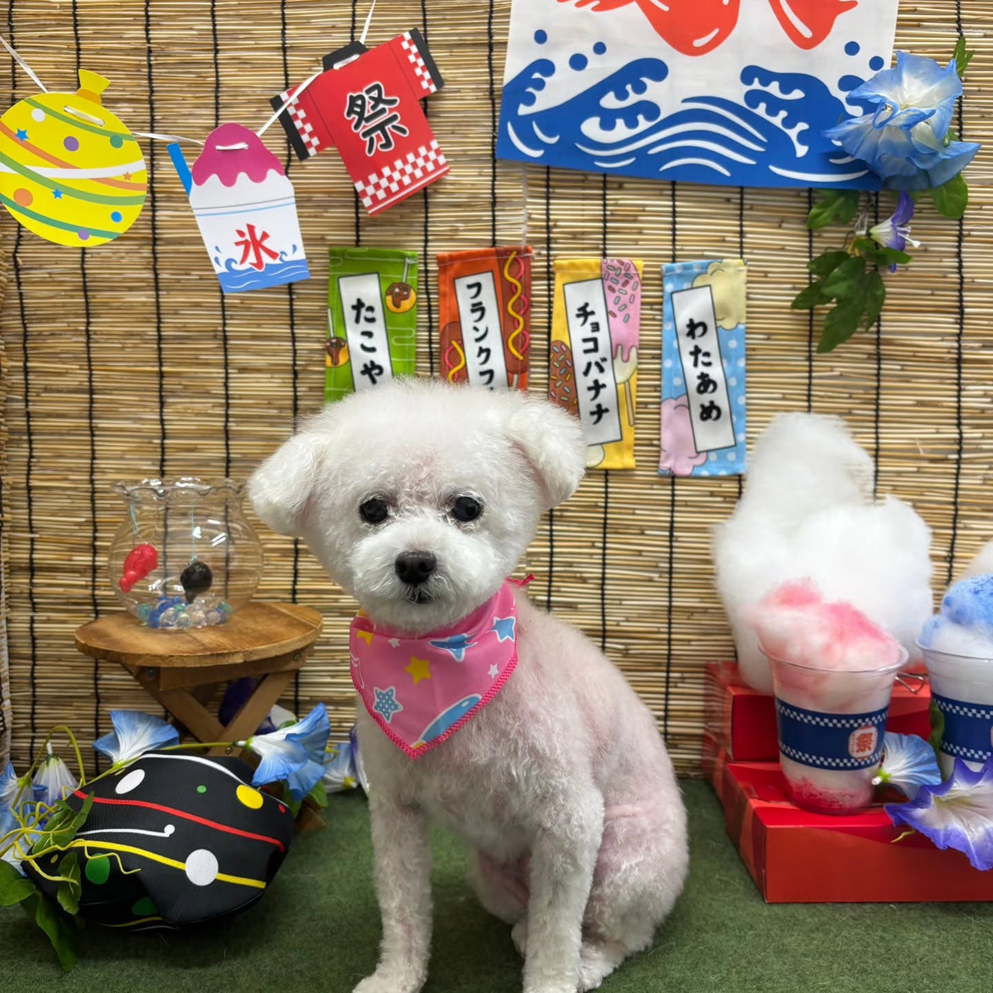 🍧🍧🍧🍧🍧🍧🍧