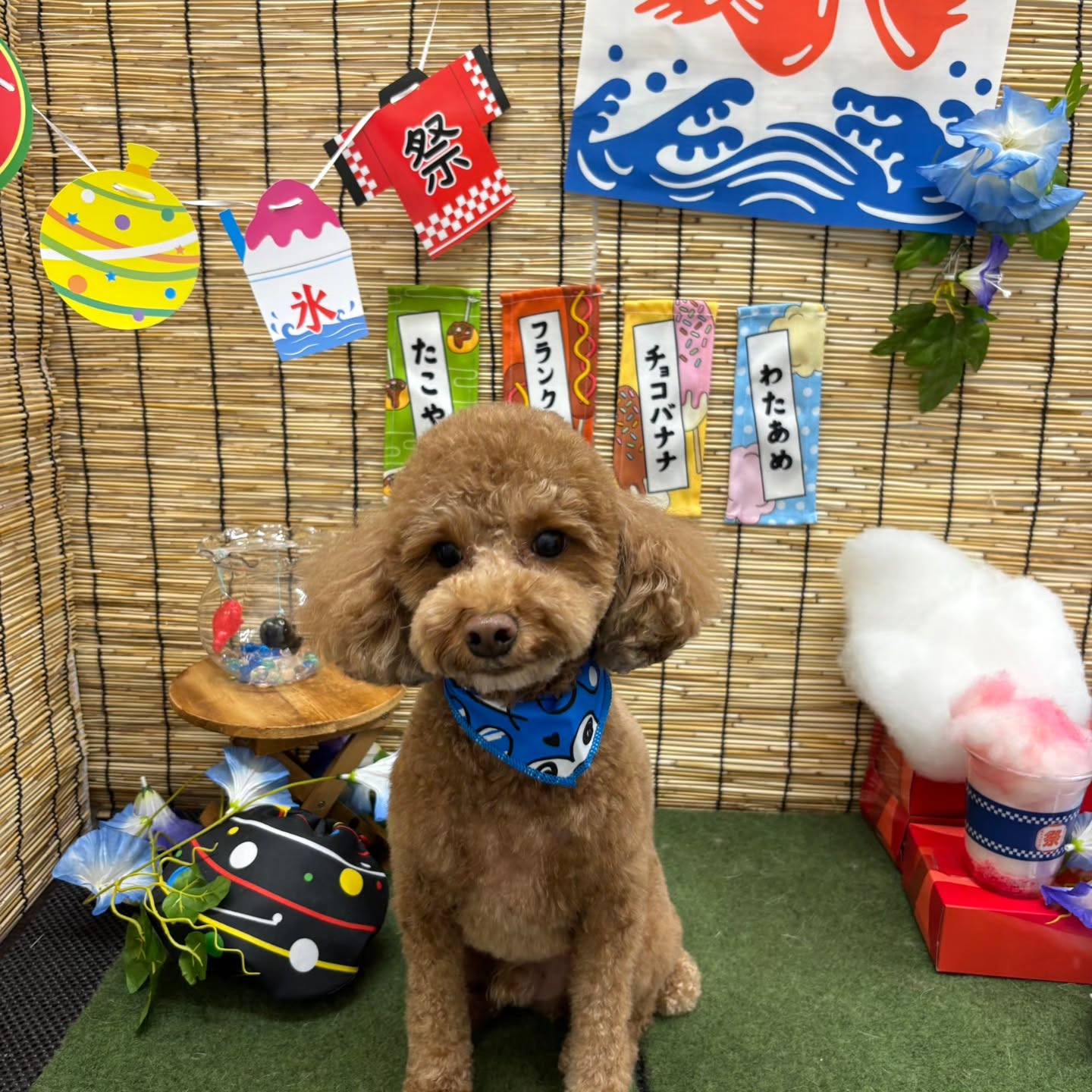 🍧🍧🍧🍧🍧🍧🍧