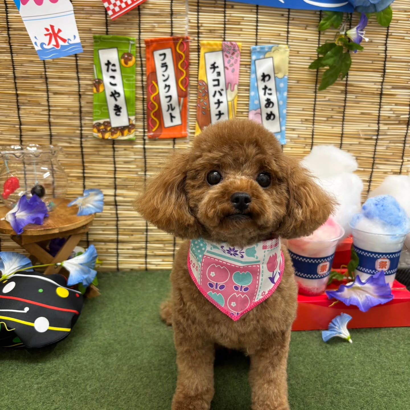 🍧🍧🍧🍧🍧🍧🍧🍧🍧🍧