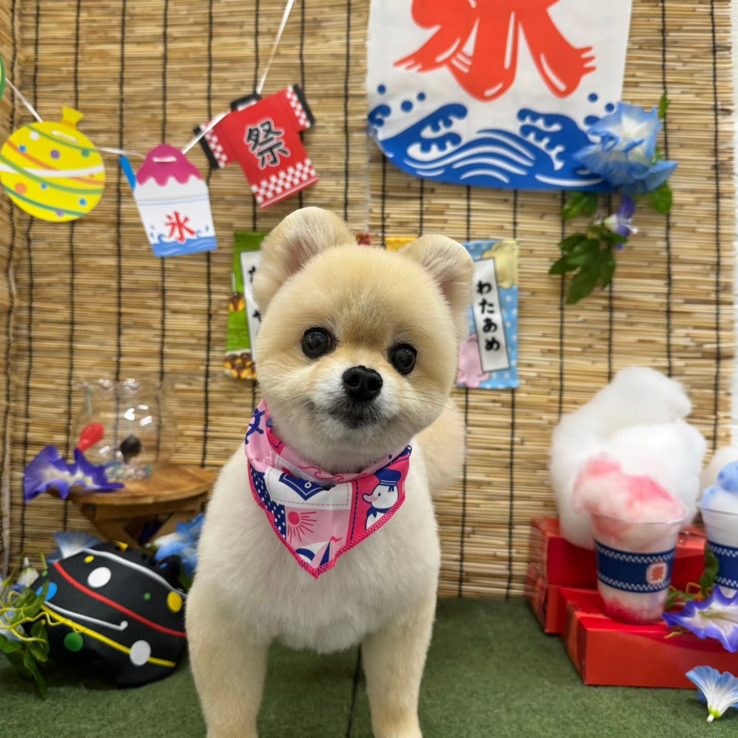 🍧🍧🍧🍧🍧🍧🍧🍧🍧🍧