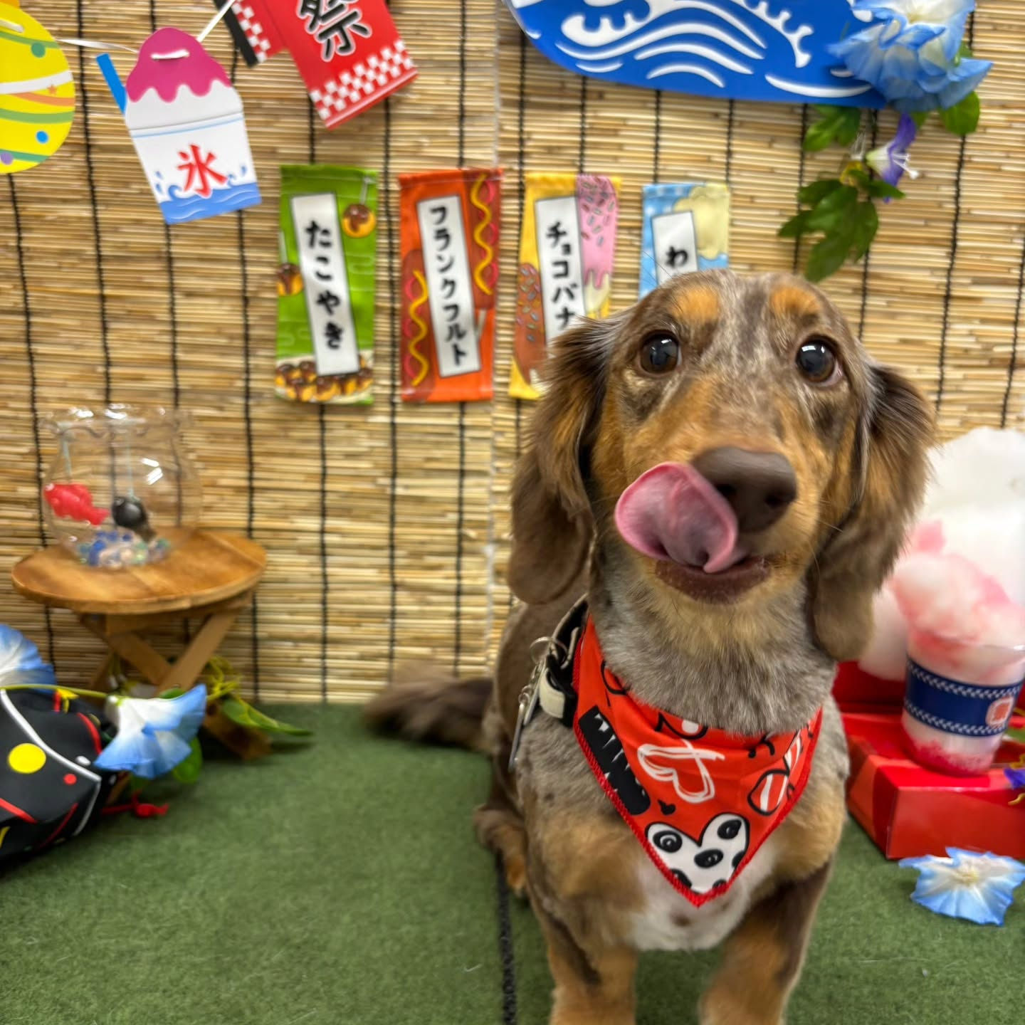 🍧🍧🍧🍧🍧🍧🍧🍧🍧🍧