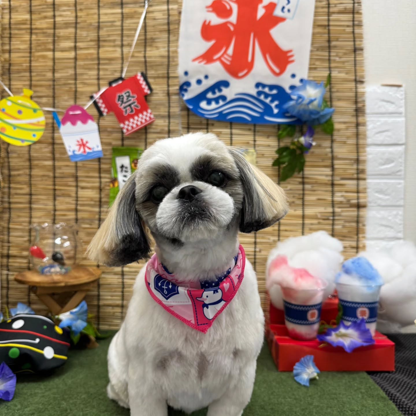 🍧🍧🍧🍧🍧🍧🍧🍧🍧🍧