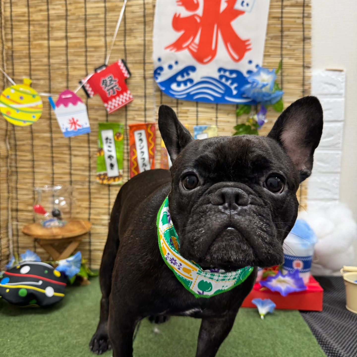 🍧🍧🍧🍧🍧🍧🍧🍧🍧🍧