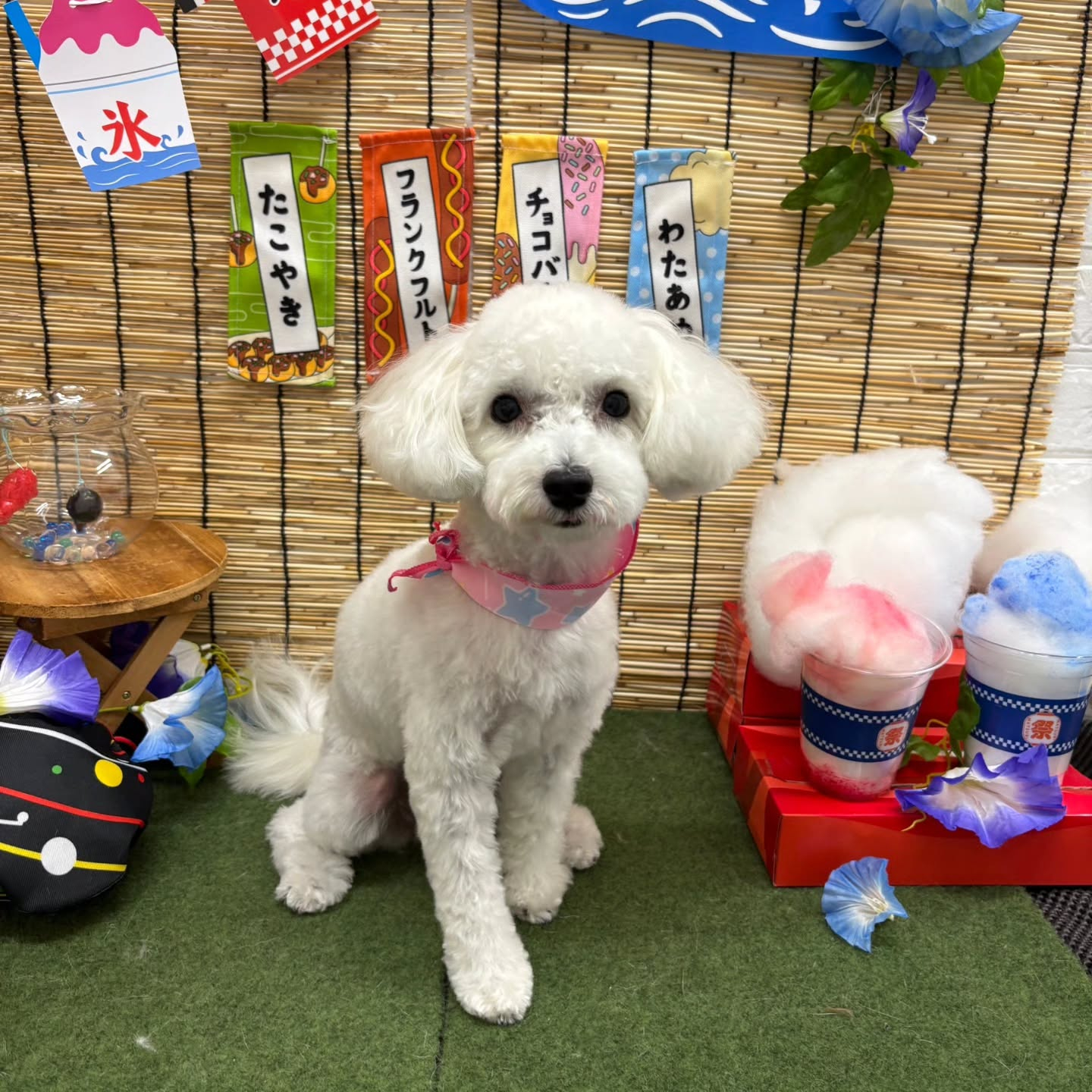 🍧🍧🍧🍧🍧🍧🍧🍧🍧🍧