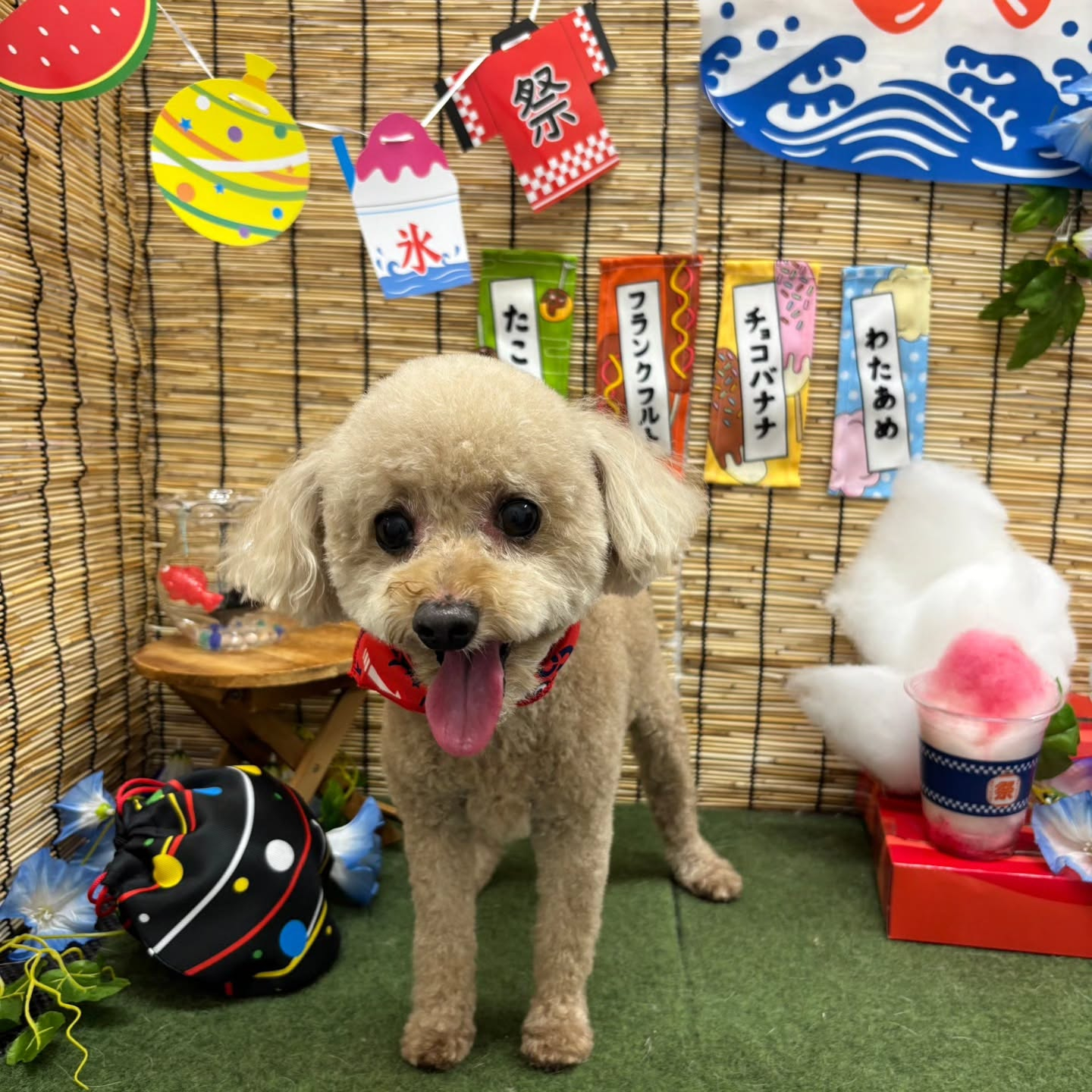 ๐ง๐ง๐ง๐ง๐ง๐ง๐ง๐ง