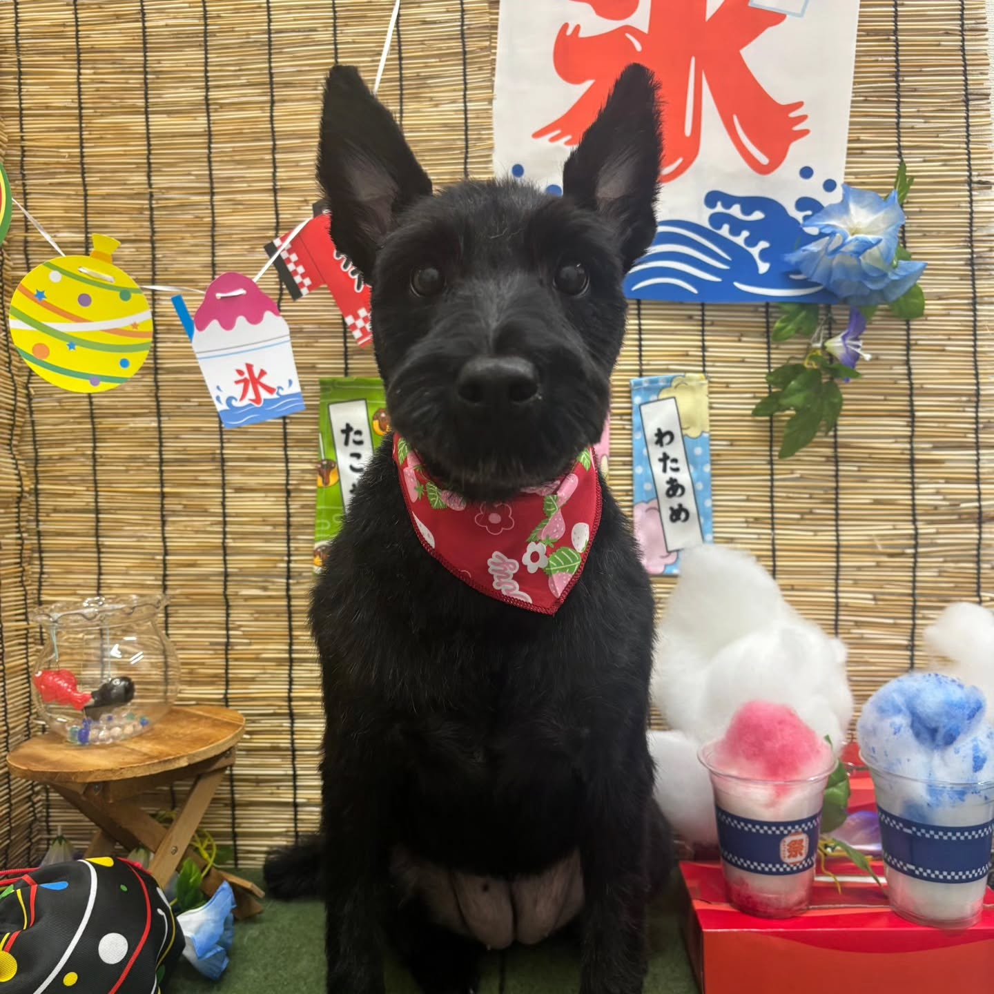 ๐ง๐ง๐ง๐ง๐ง๐ง๐ง๐ง