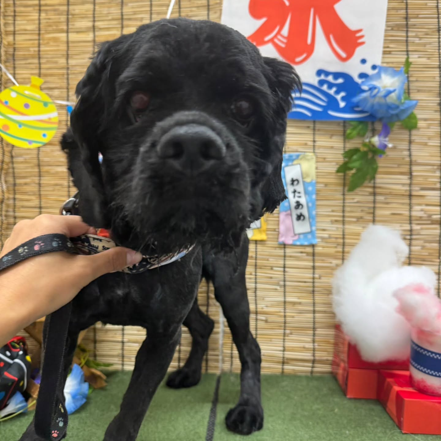 ๐ง๐ง๐ง๐ง๐ง๐ง๐ง๐ง