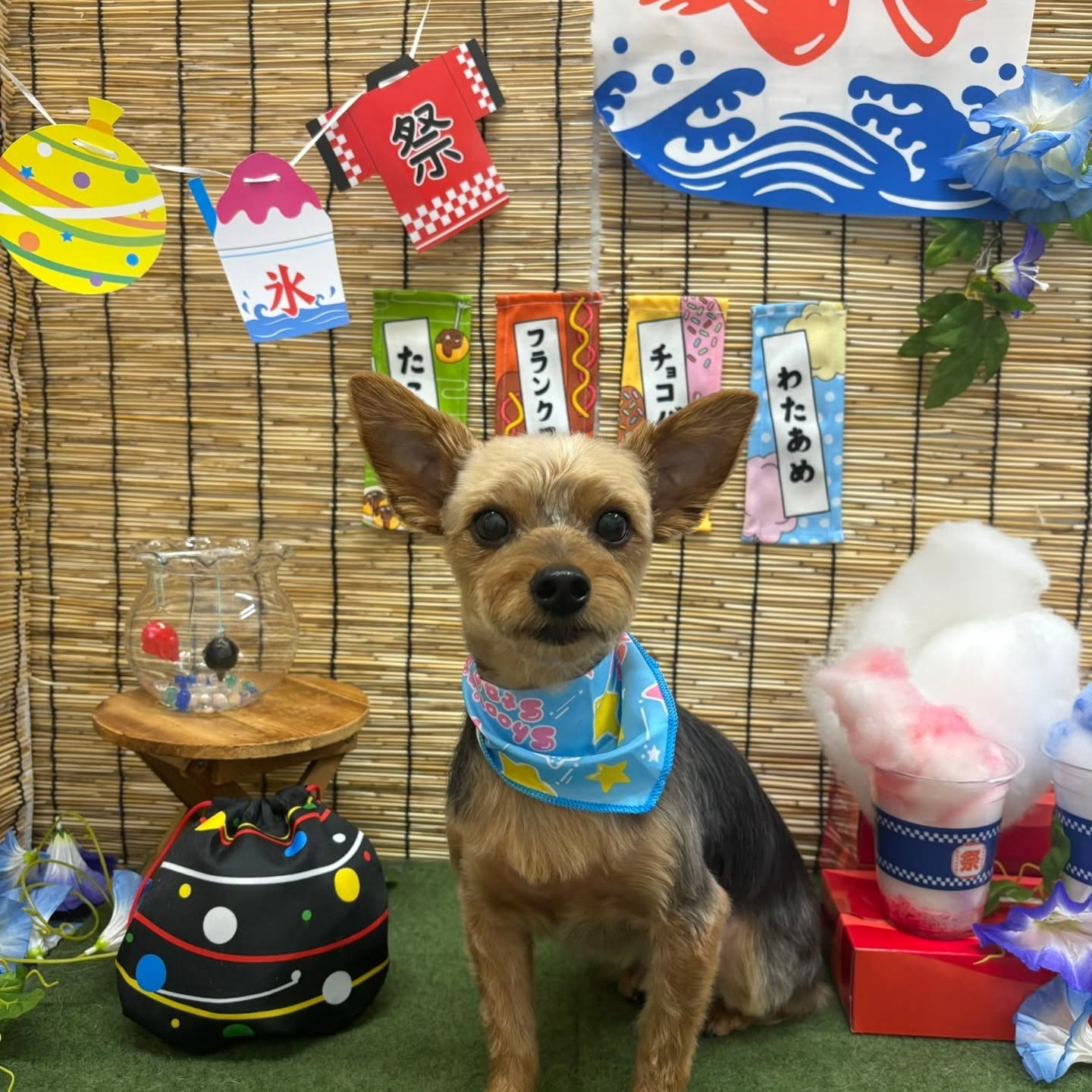 ๐ง๐ง๐ง๐ง๐ง๐ง๐ง๐ง