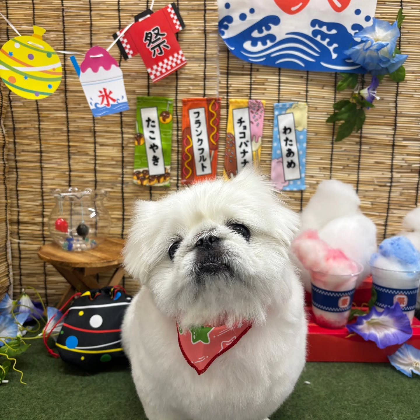 ๐ง๐ง๐ง๐ง๐ง๐ง๐ง๐ง