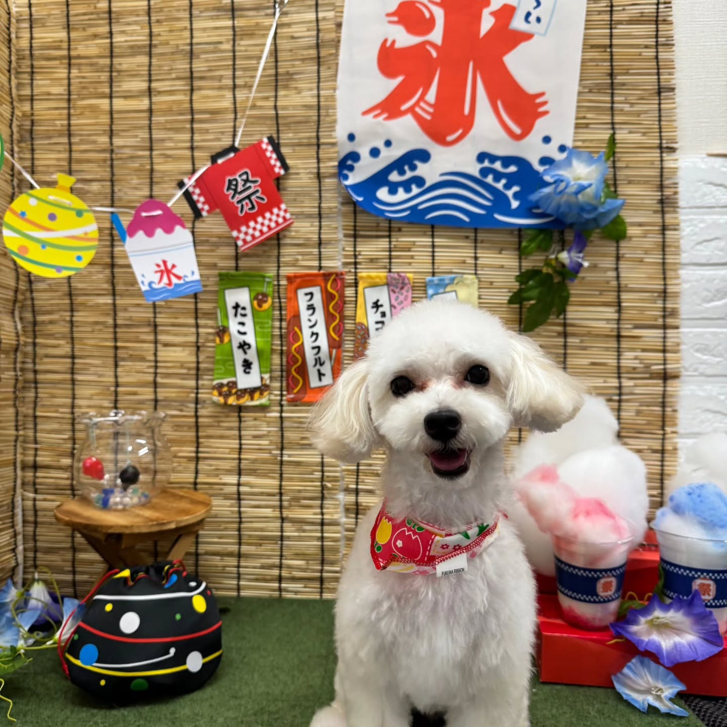 ๐ง๐ง๐ง๐ง๐ง๐ง๐ง๐ง