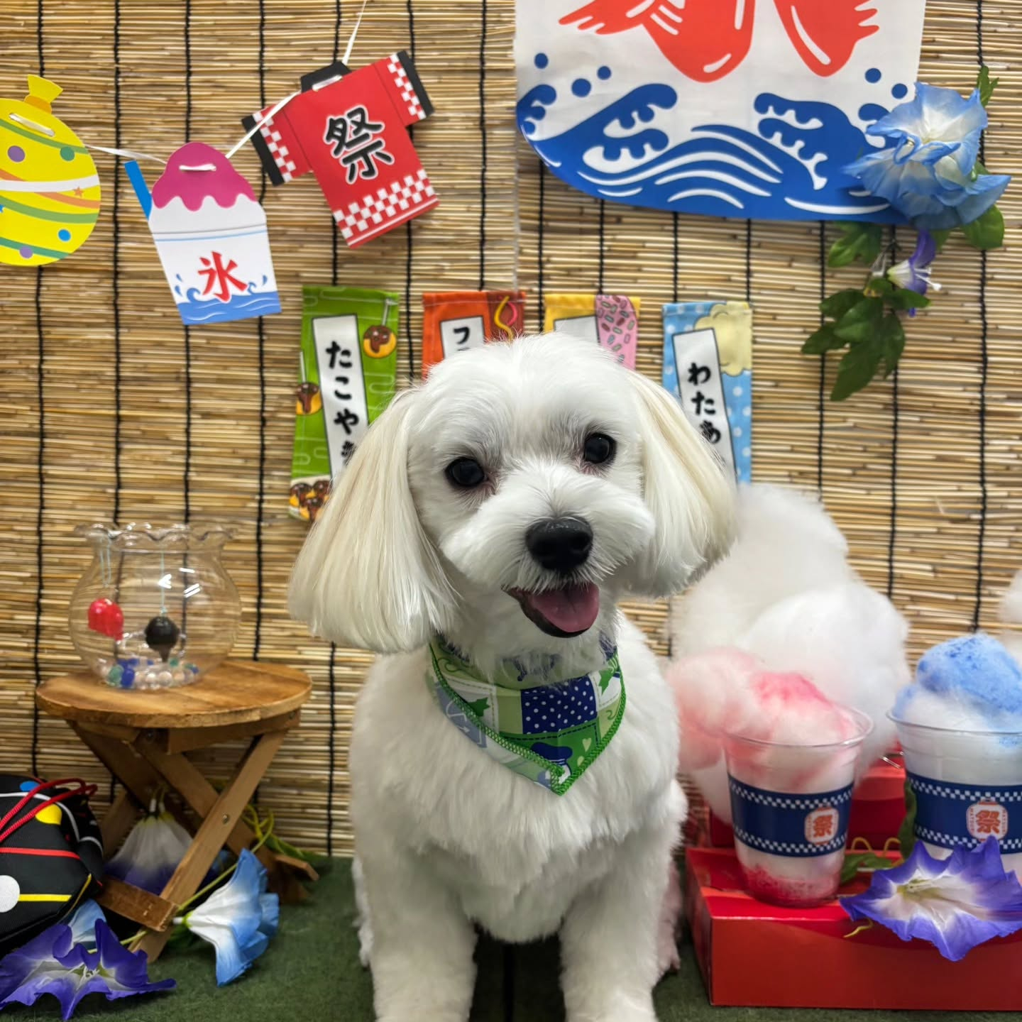 ๐ง๐ง๐ง๐ง๐ง๐ง๐ง๐ง