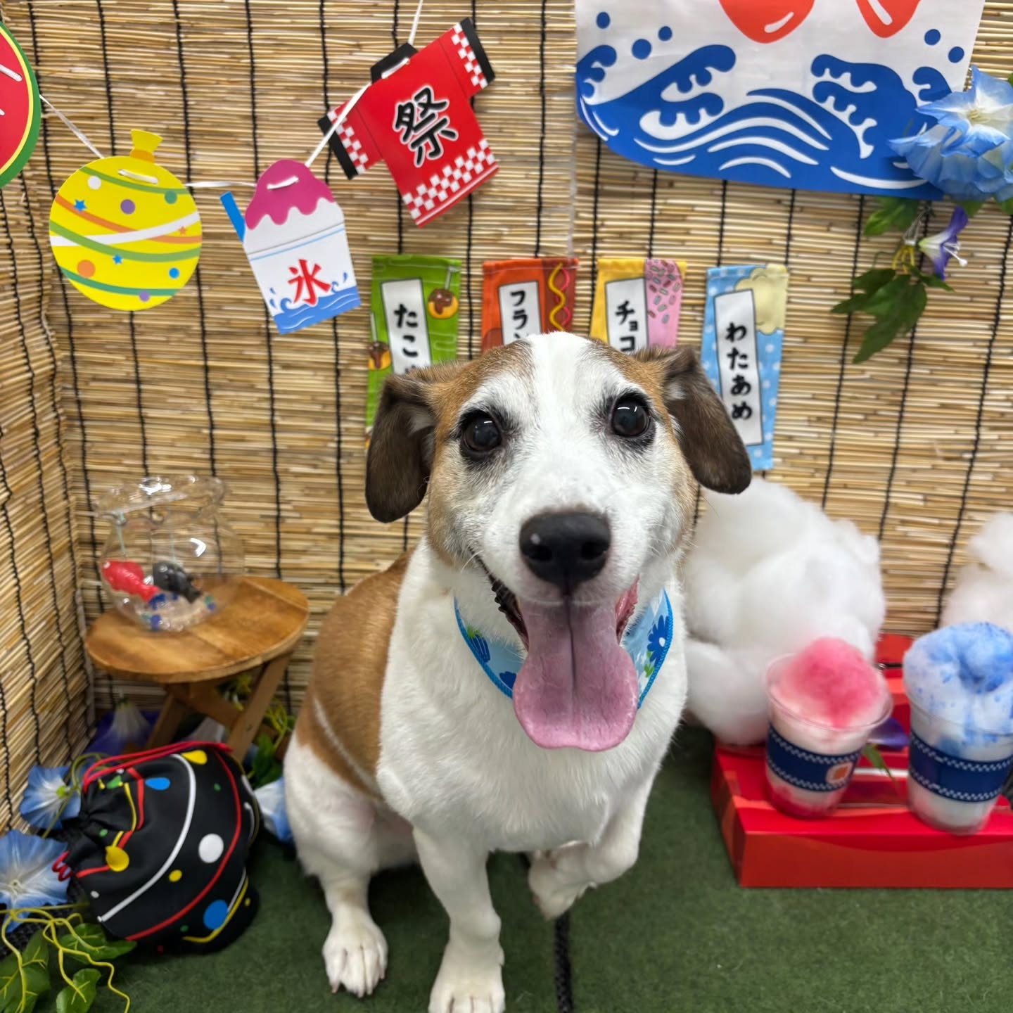 ๐ง๐ง๐ง๐ง๐ง๐ง๐ง๐ง