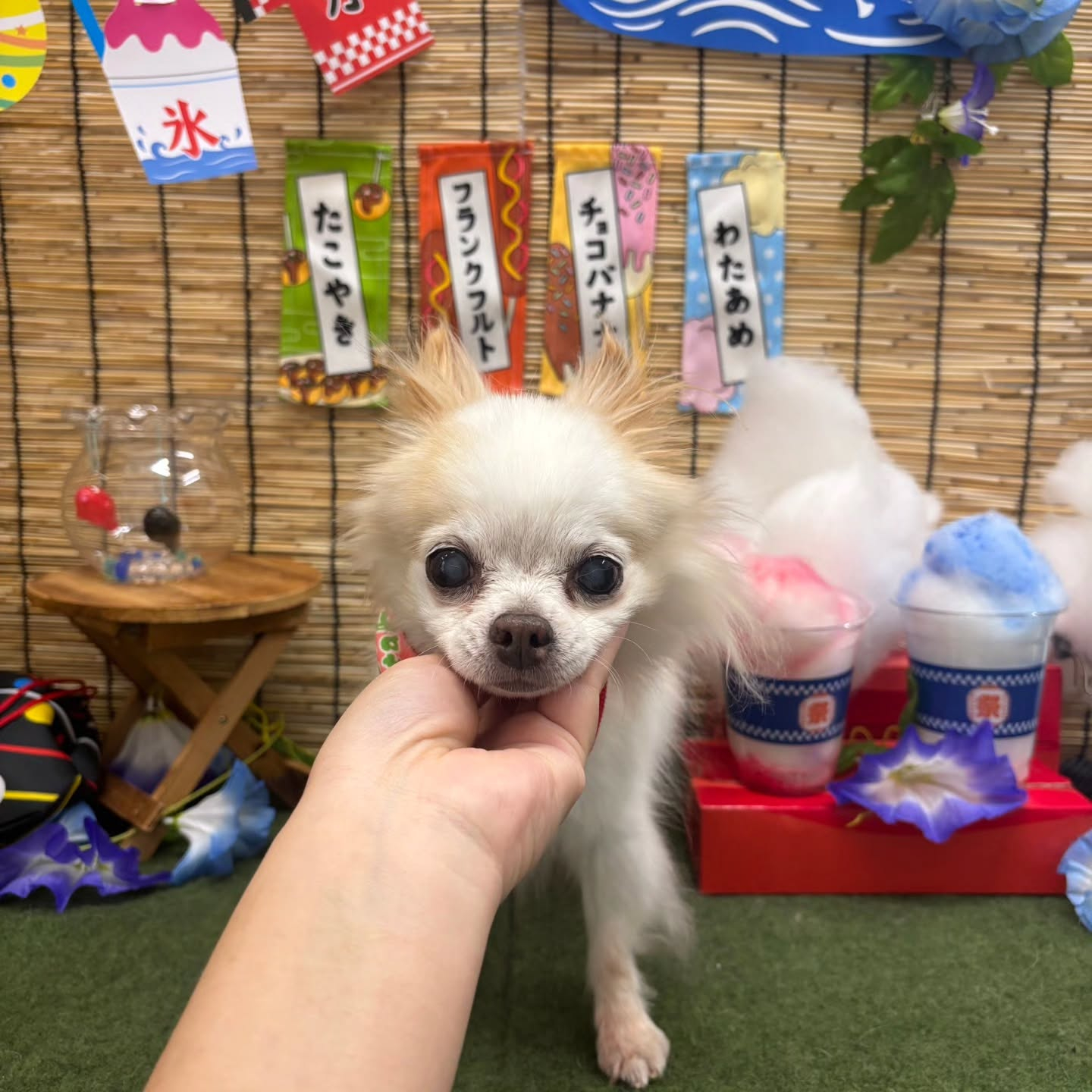 ๐ง๐ง๐ง๐ง๐ง๐ง๐ง๐ง