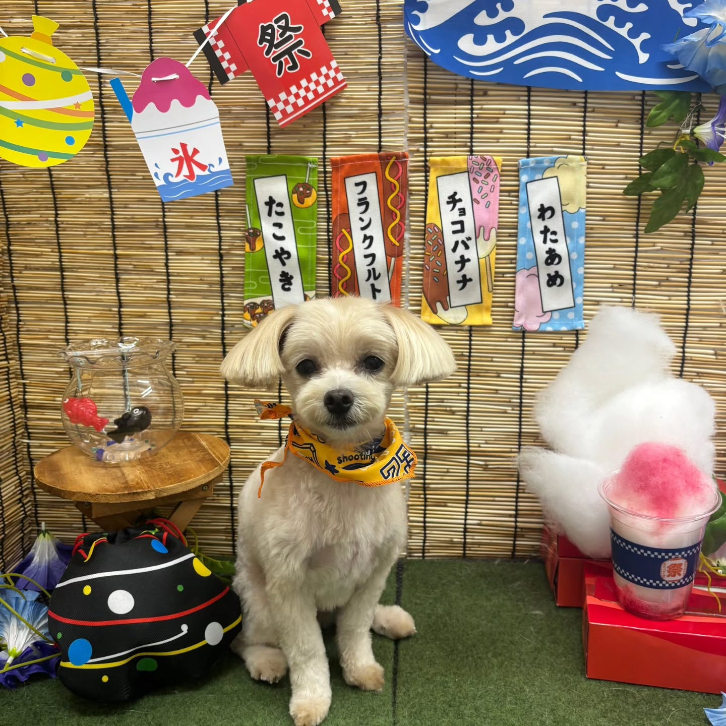 ๐ง๐ง๐ง๐ง๐ง๐ง๐ง