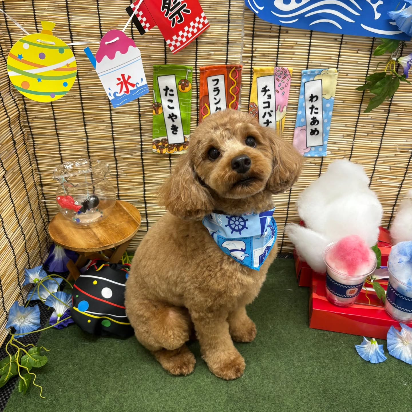 ๐ง๐ง๐ง๐ง๐ง๐ง๐ง